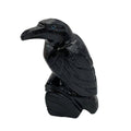 🖤 Black Onyx Raven Crystal Carving 🐦‍⬛✨
