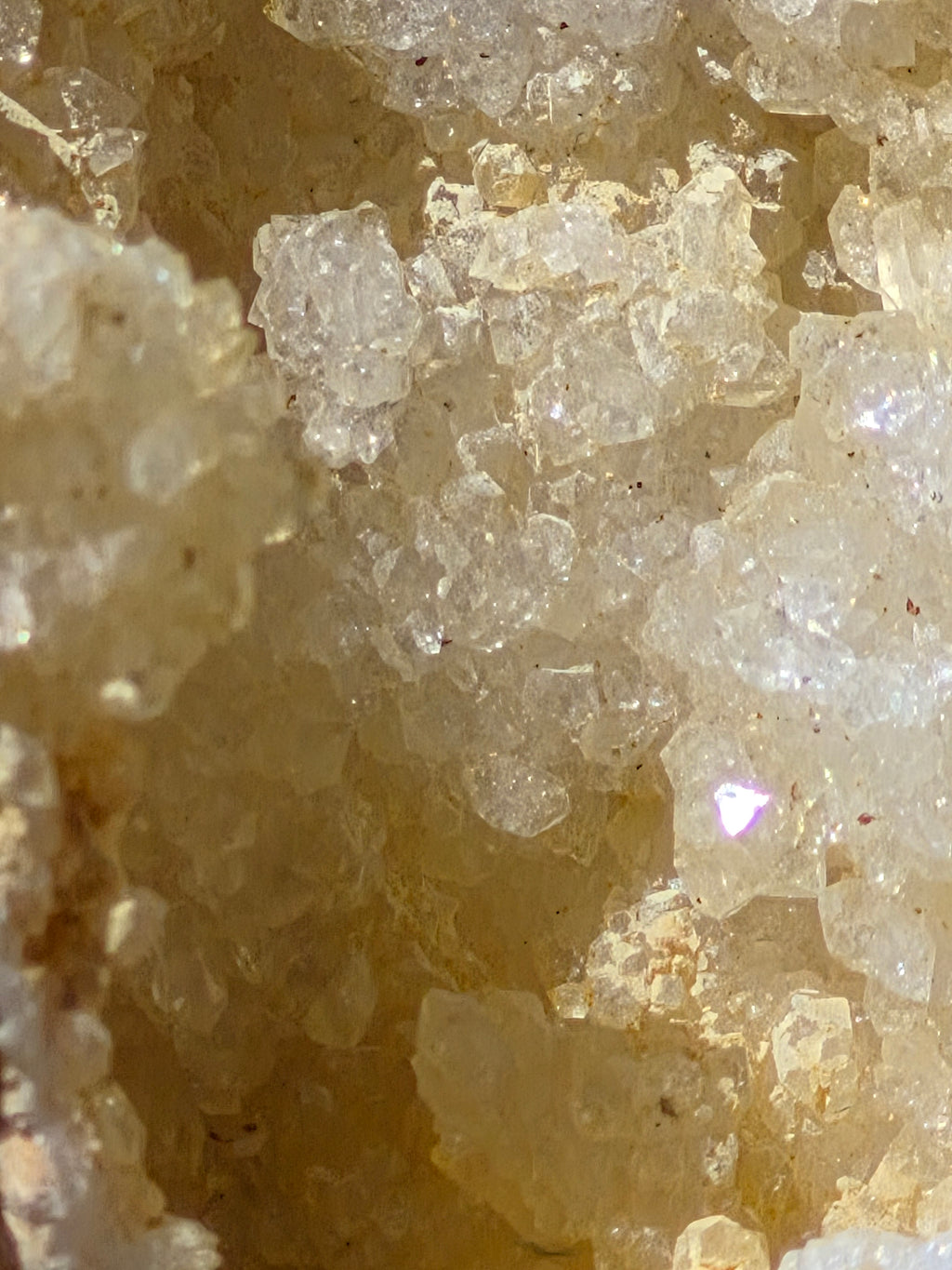 🤍White Quartz Geode- Half ✨Specimen No. 003