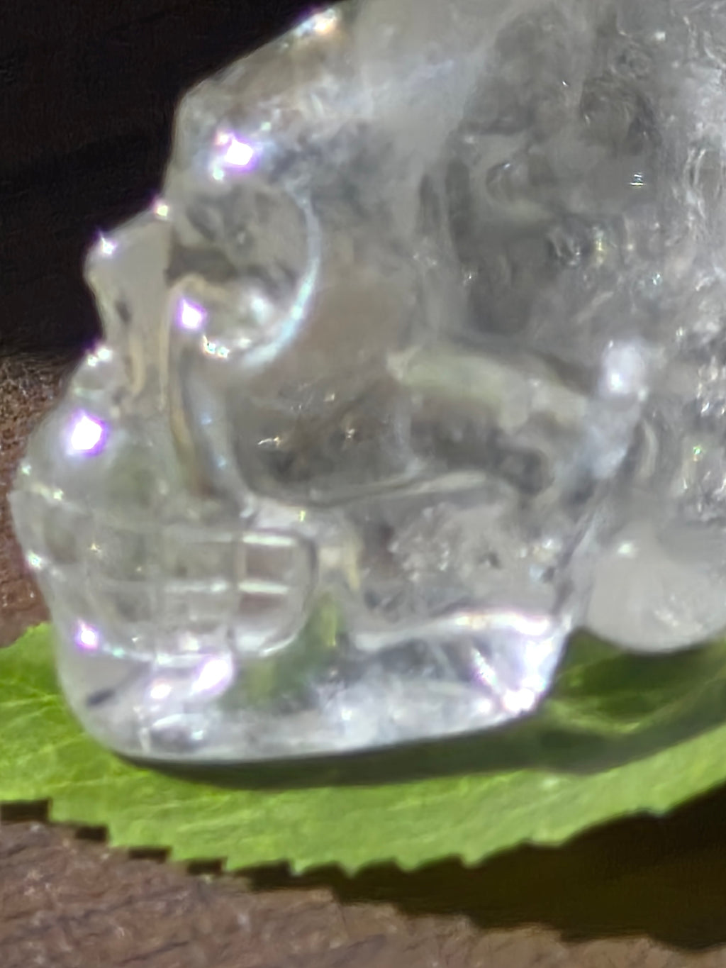 💀 Crystal Veil Clear Quartz Skull