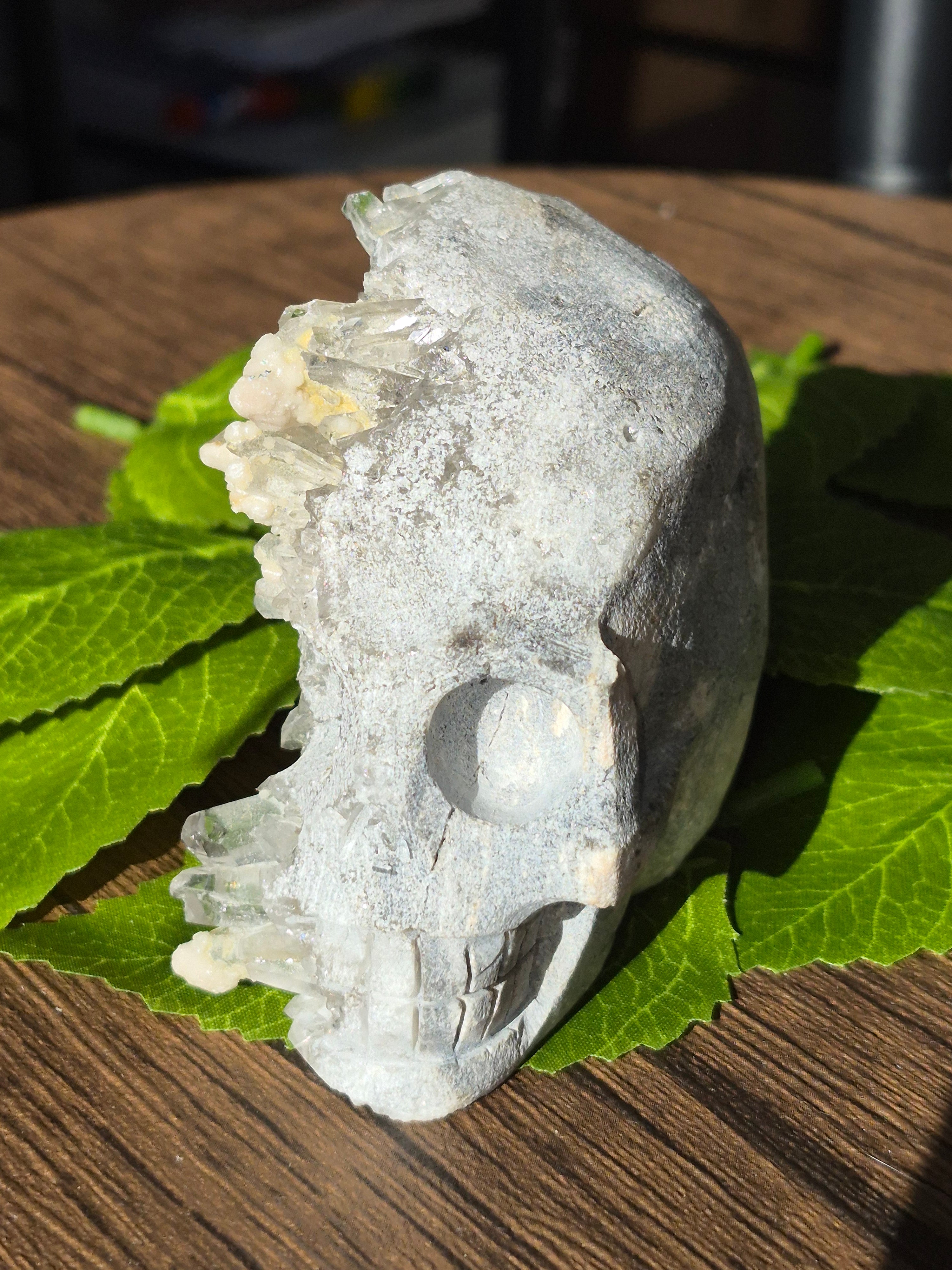 🤍 Frozen Quartz Cluster Skull ⭐