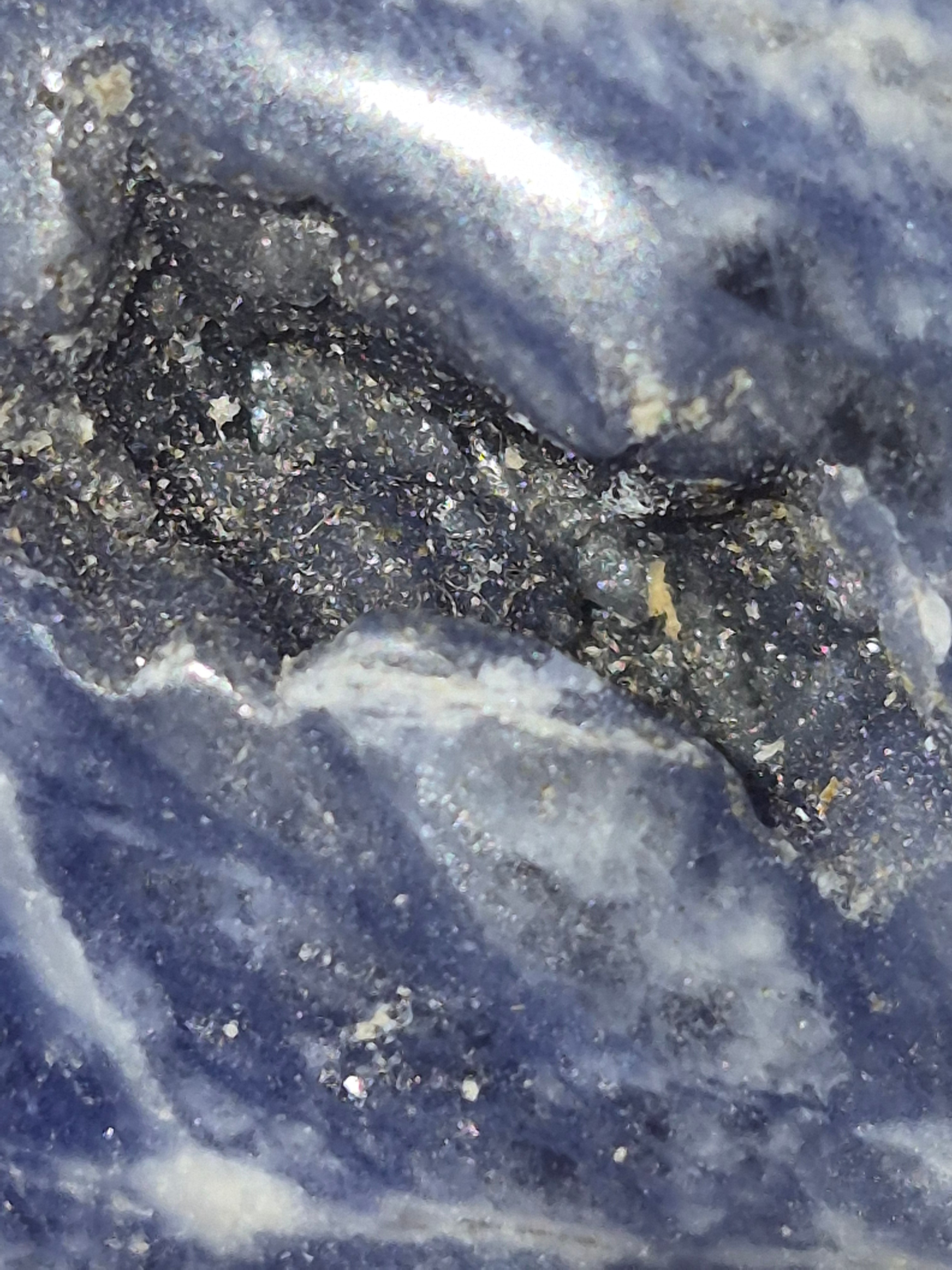 Sodalite Deep Intuition Skull 💀💙