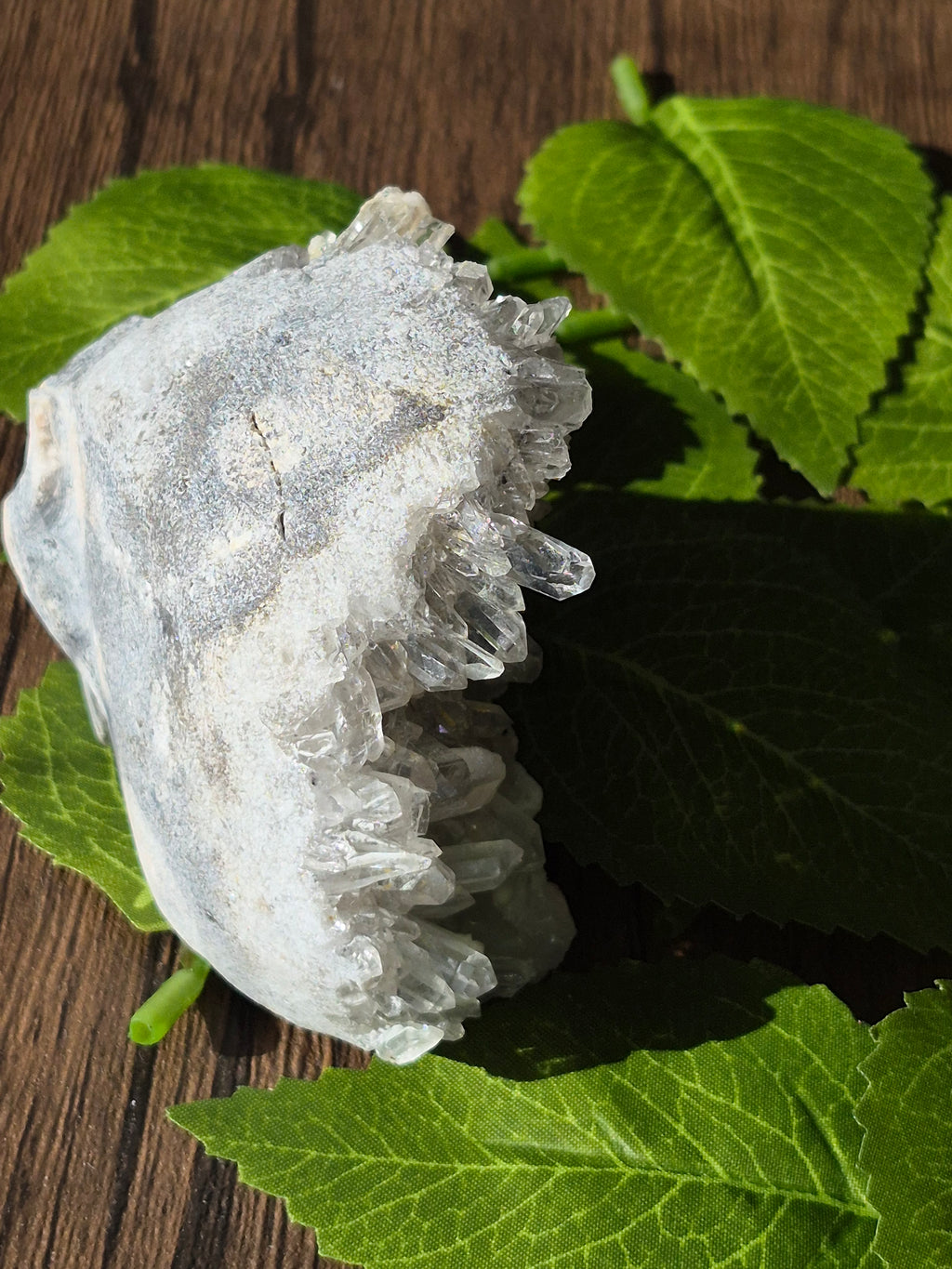 🤍 Frozen Quartz Cluster Skull ⭐