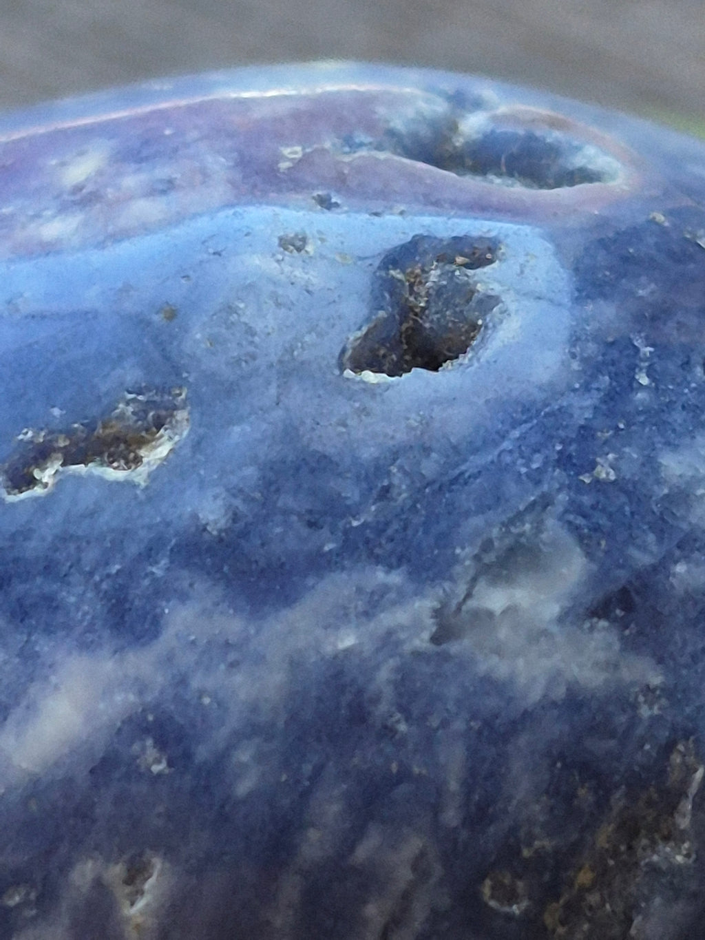 Sodalite Deep Intuition Skull 💀💙