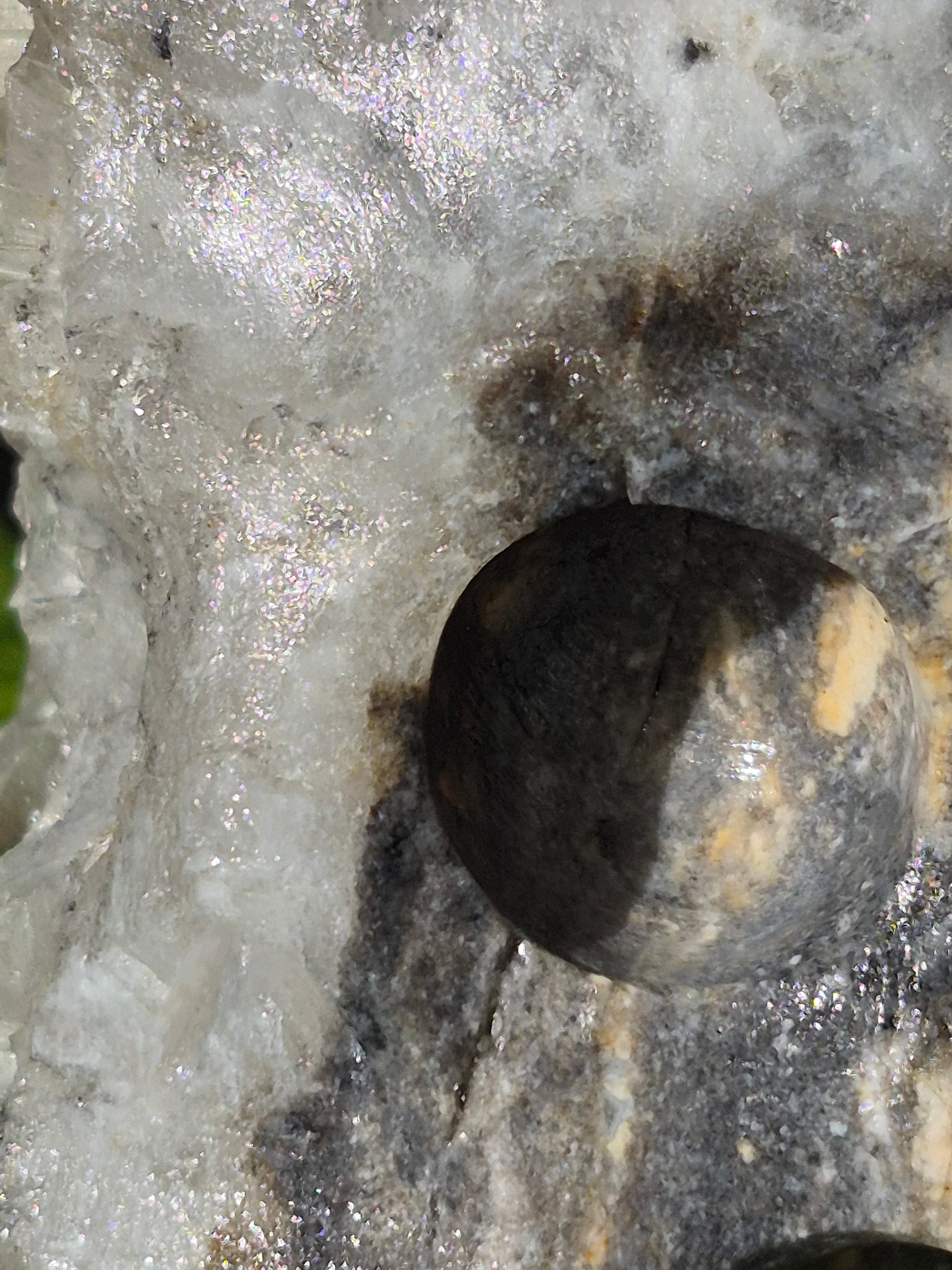 🤍 Frozen Quartz Cluster Skull ⭐