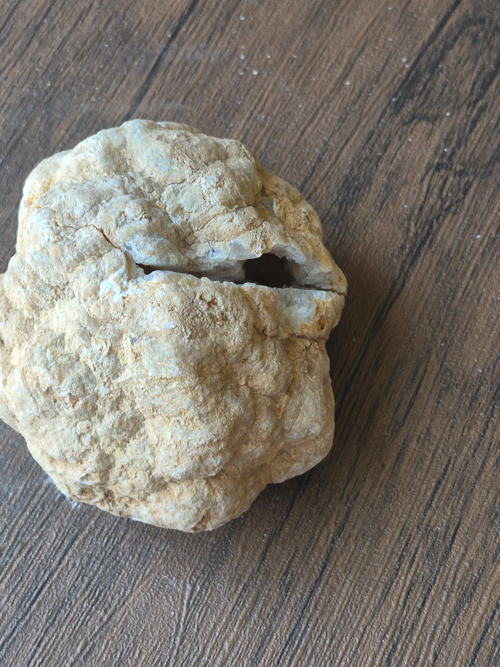 🤍White Quartz Geode-Whole✨Specimen No.007