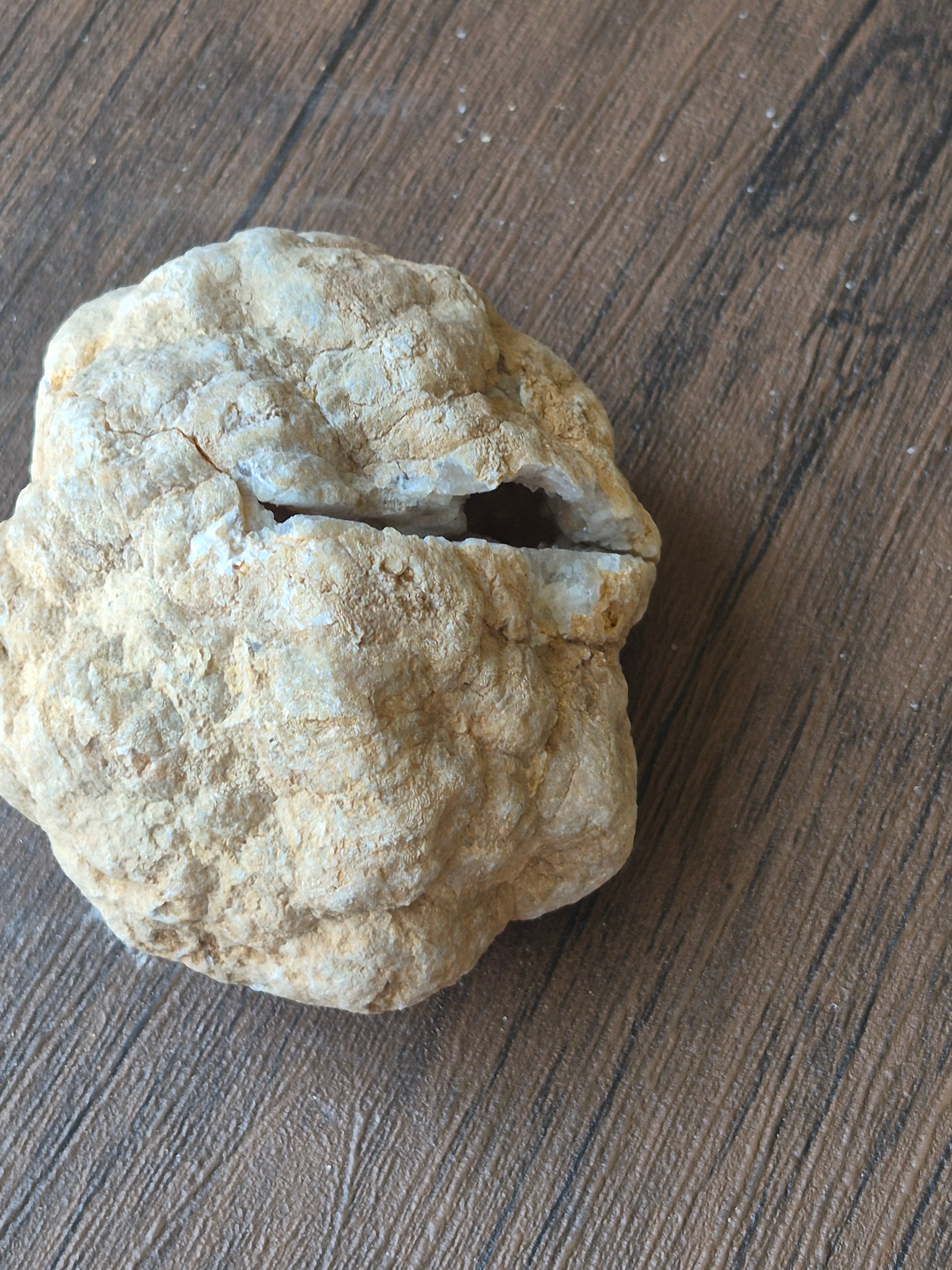 🤍White Quartz Geode-Whole✨Specimen No.007
