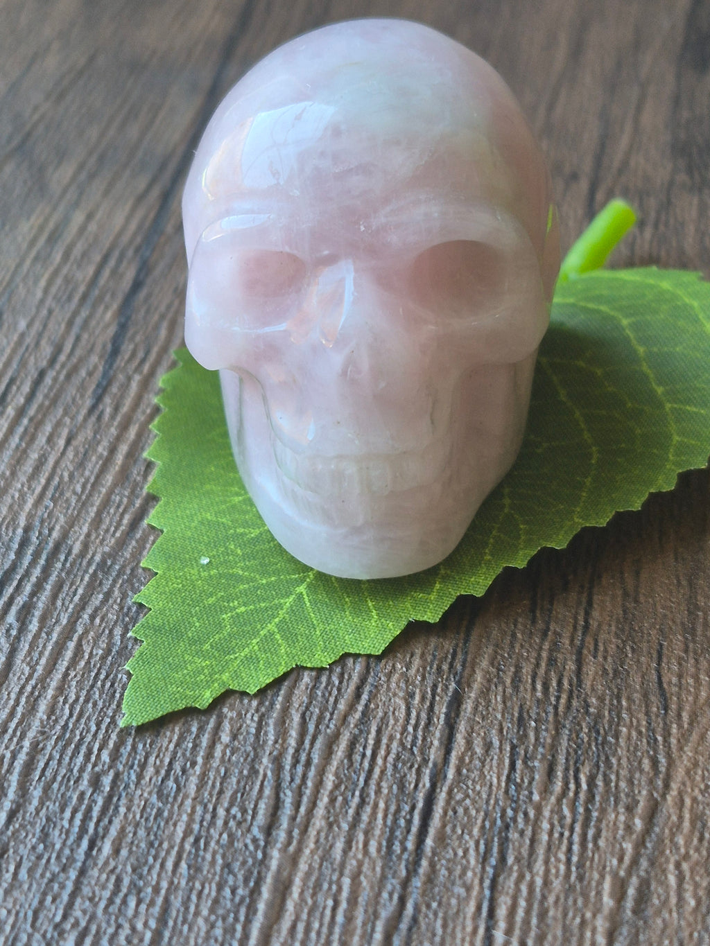 Rose Quartz Heart Whisperer 💀💕