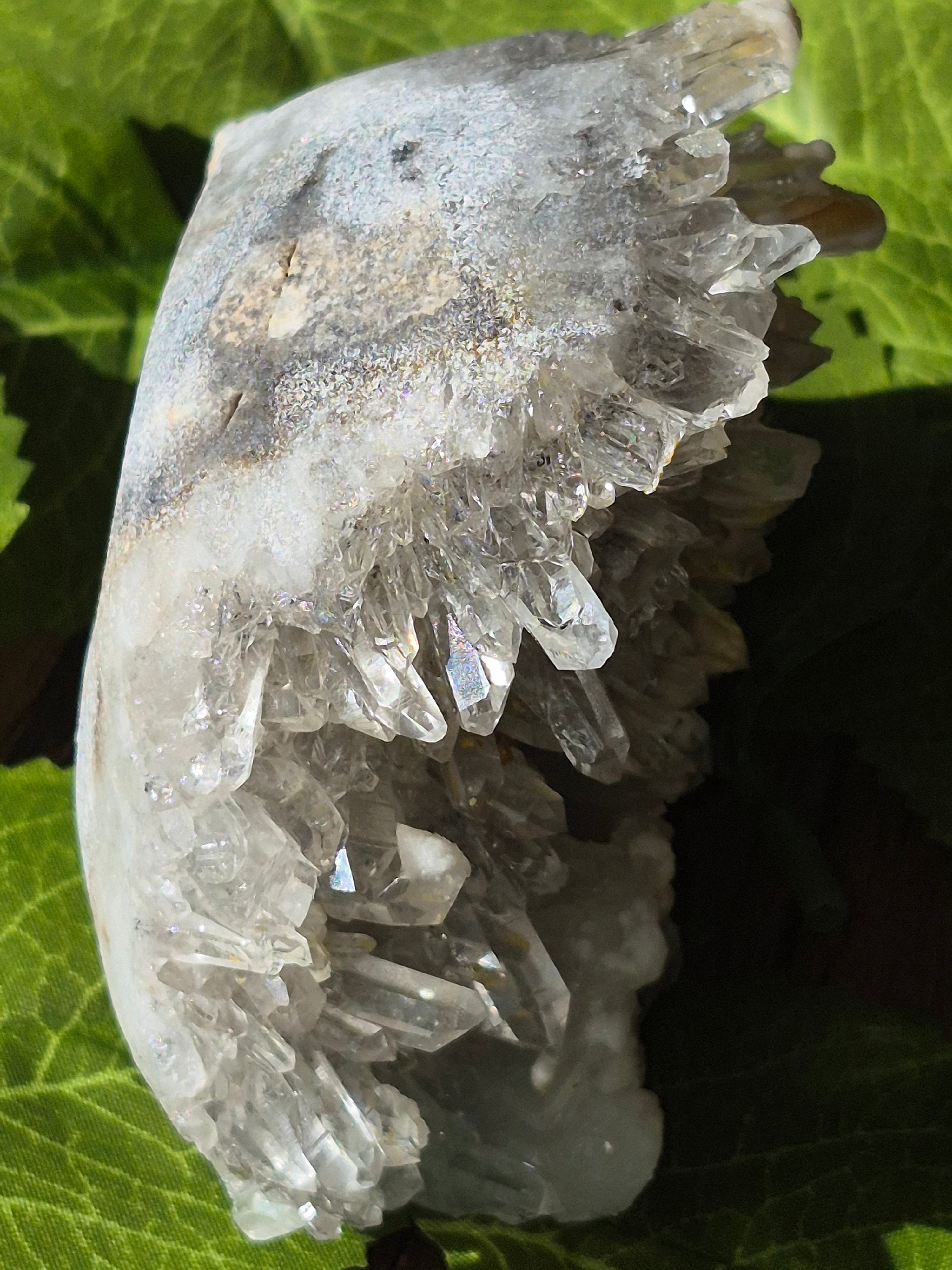 🤍 Frozen Quartz Cluster Skull ⭐