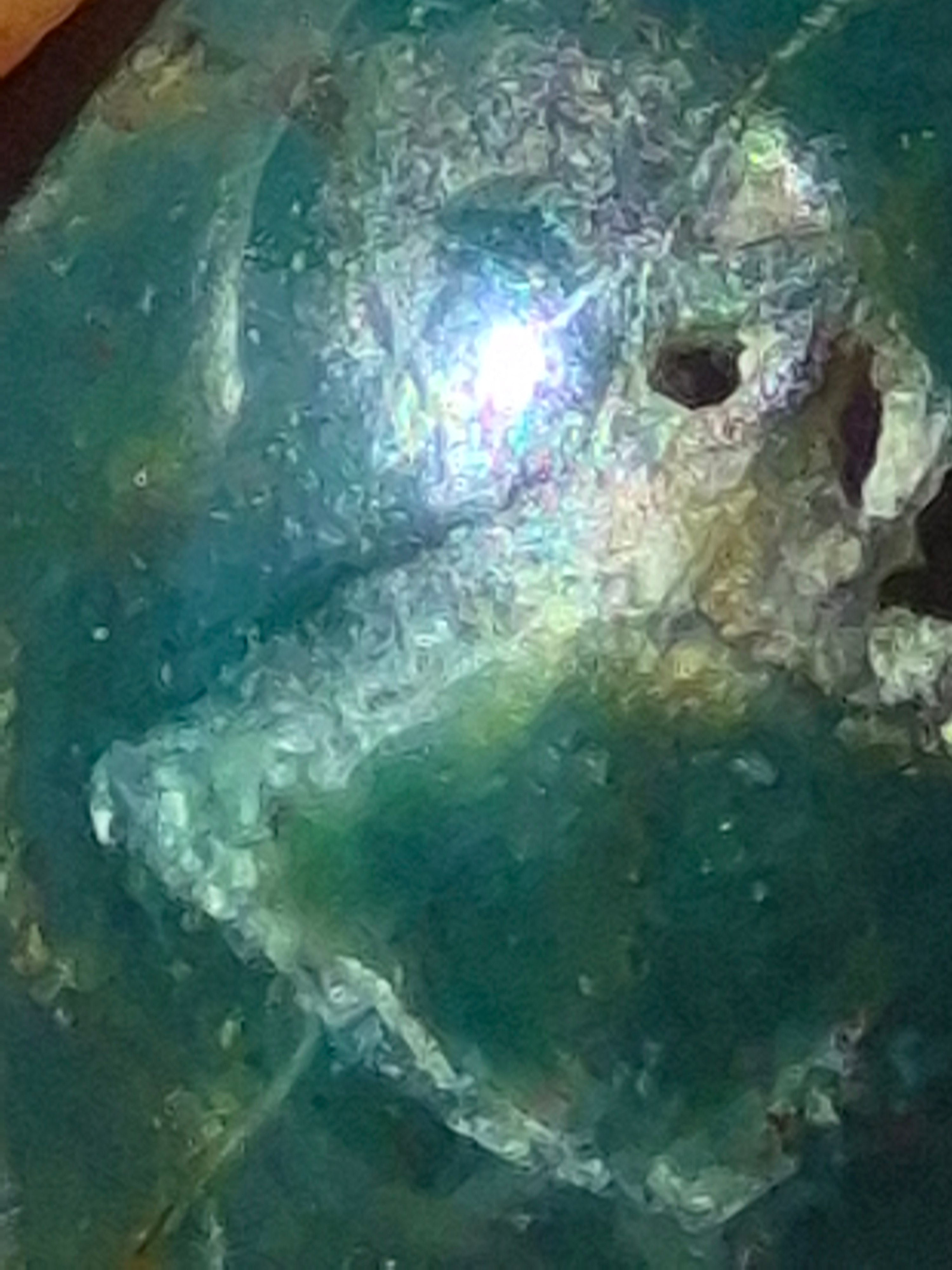 🌊✨️Mini Ocean Jasper  Sphere [23mm]