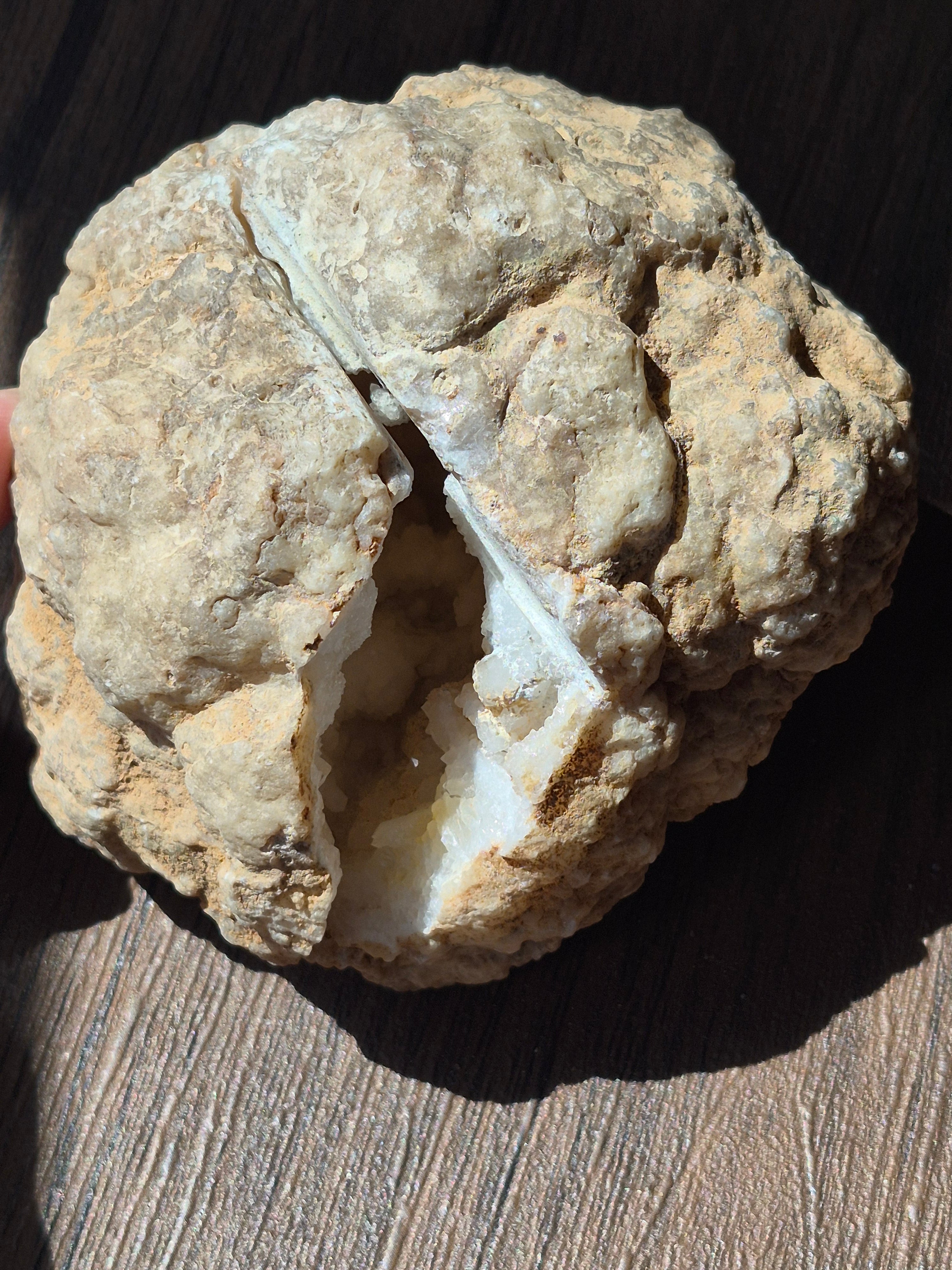 🤍White Quartz Geode- Whole ✨Specimen No. 005