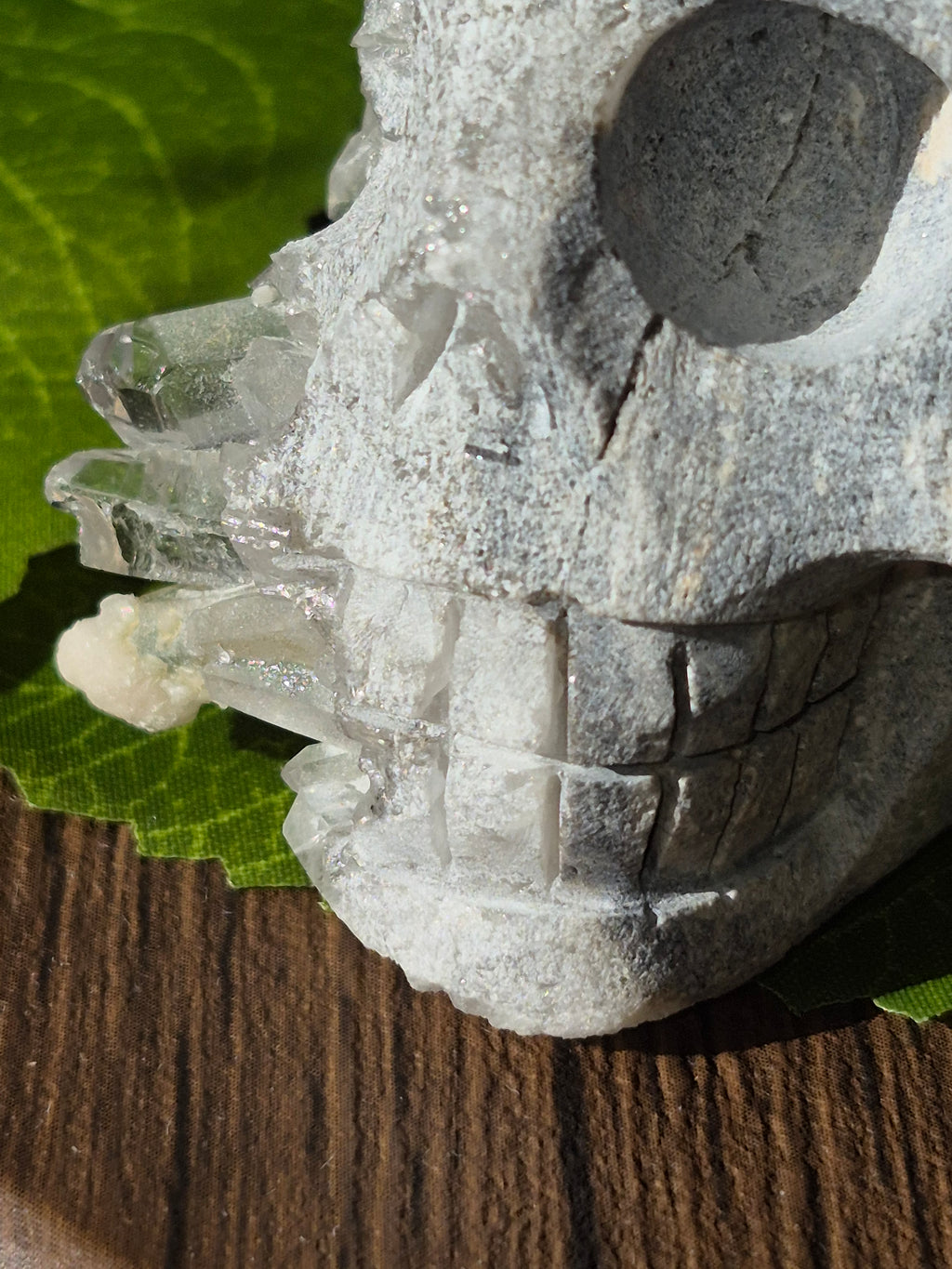 🤍 Frozen Quartz Cluster Skull ⭐
