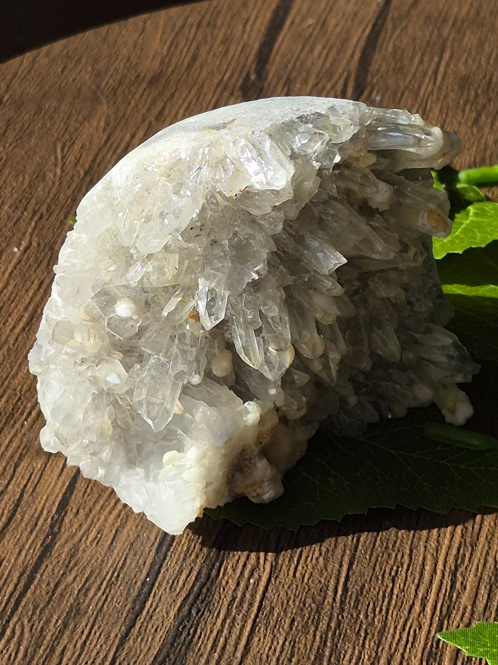 🤍 Frozen Quartz Cluster Skull ⭐