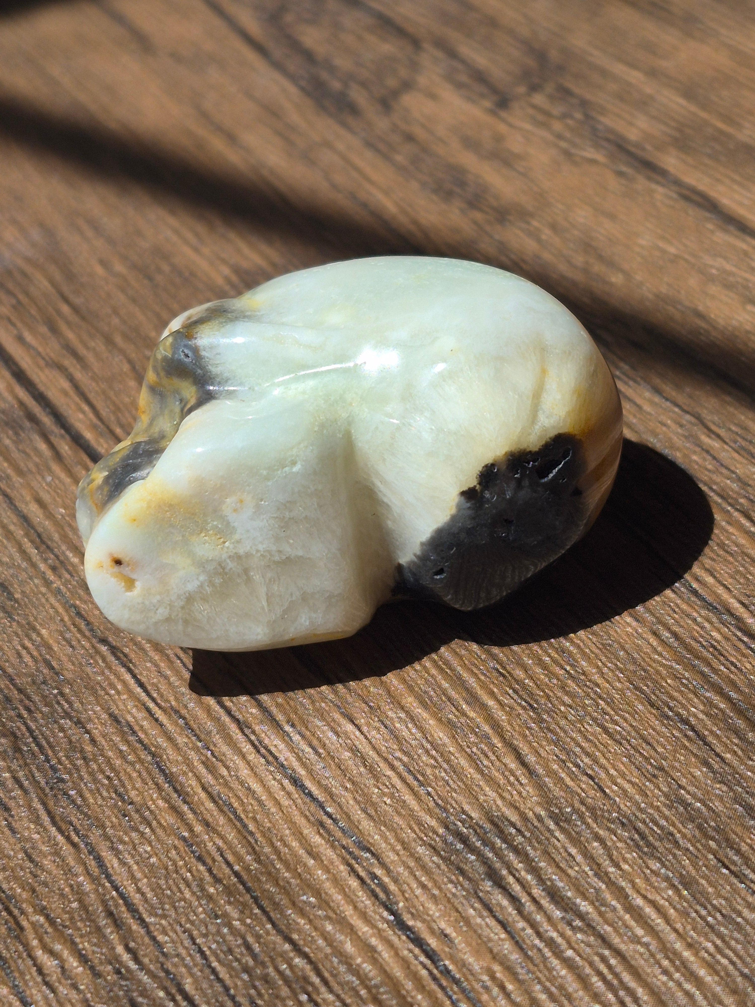 💀 Agate Skull with Natural Druzy Quartz Pocket
