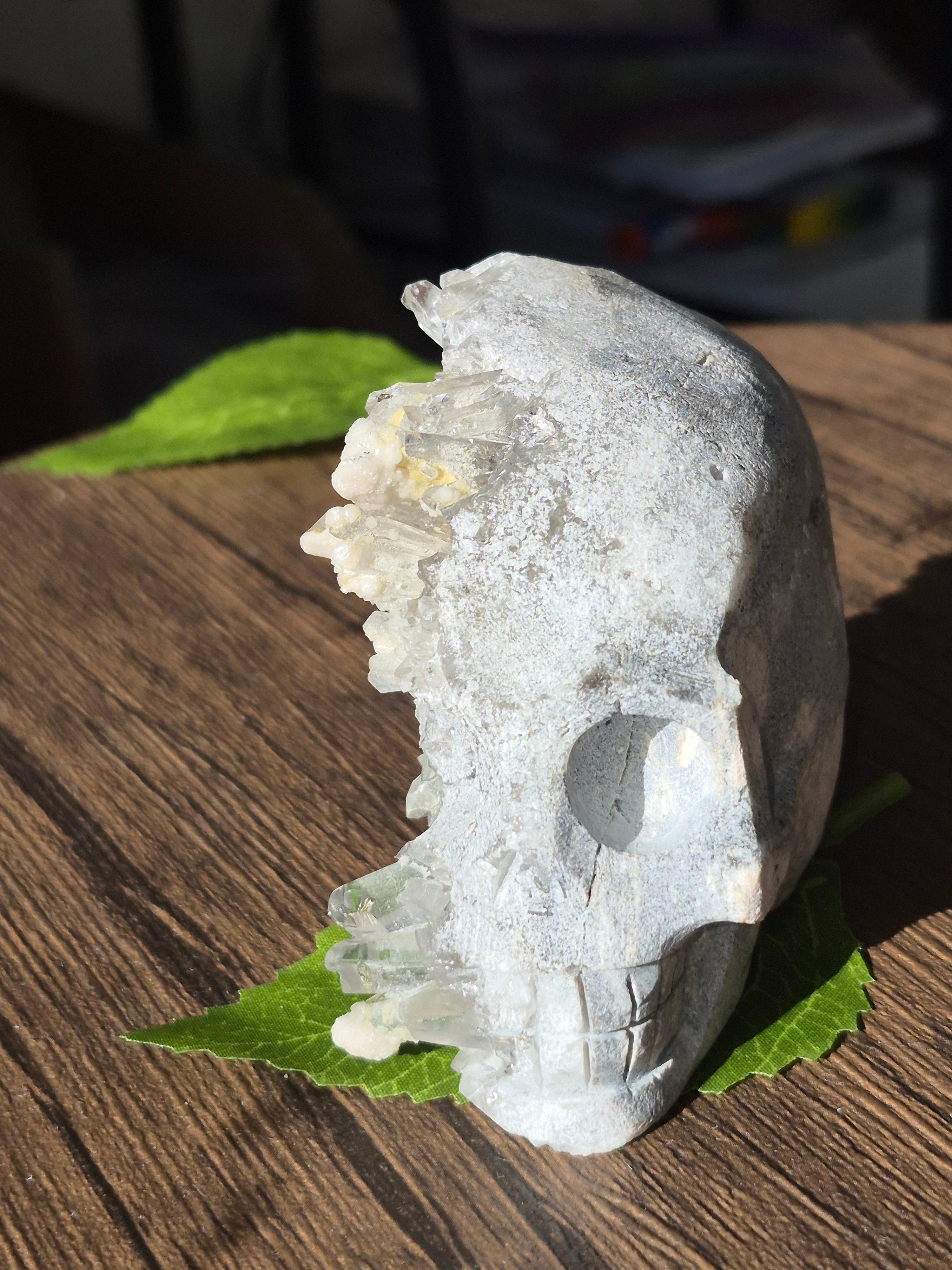 🤍 Frozen Quartz Cluster Skull ⭐