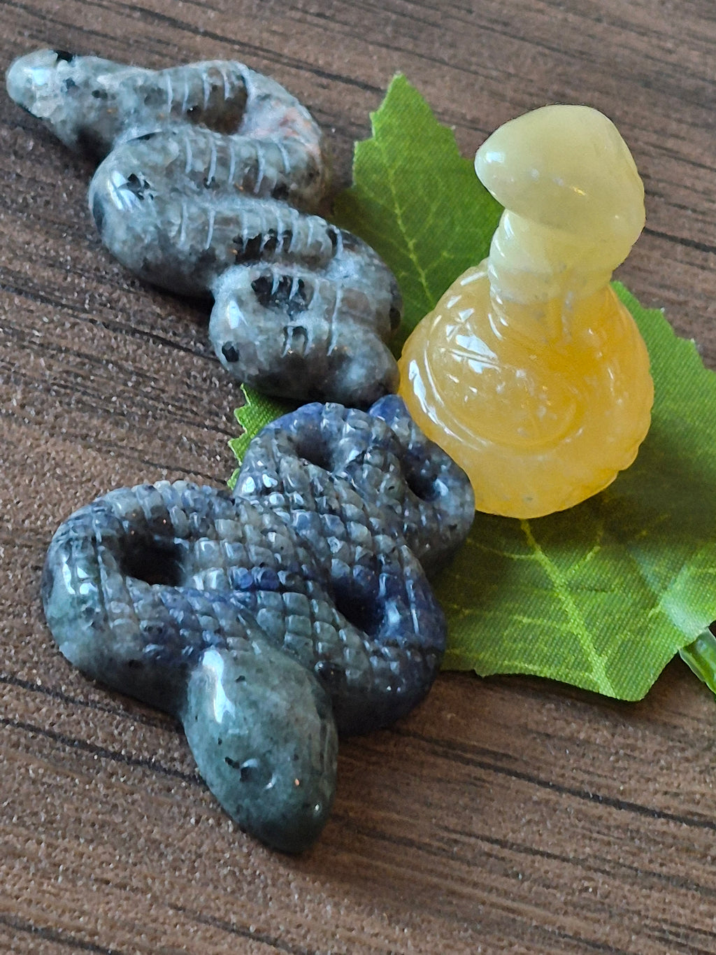 🐍 The Serpent Collection