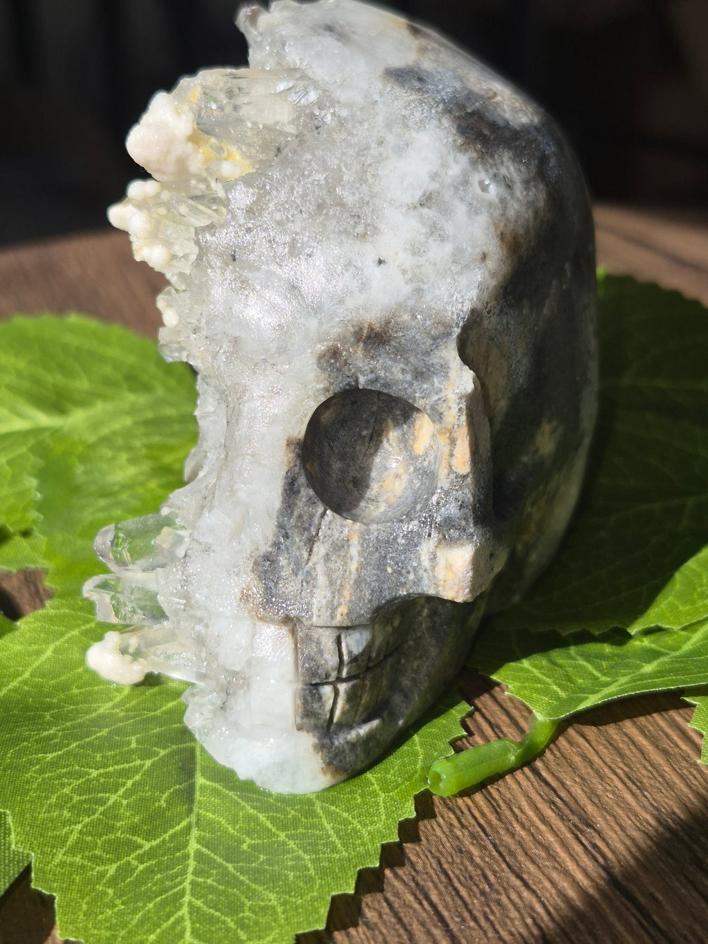 🤍 Frozen Quartz Cluster Skull ⭐