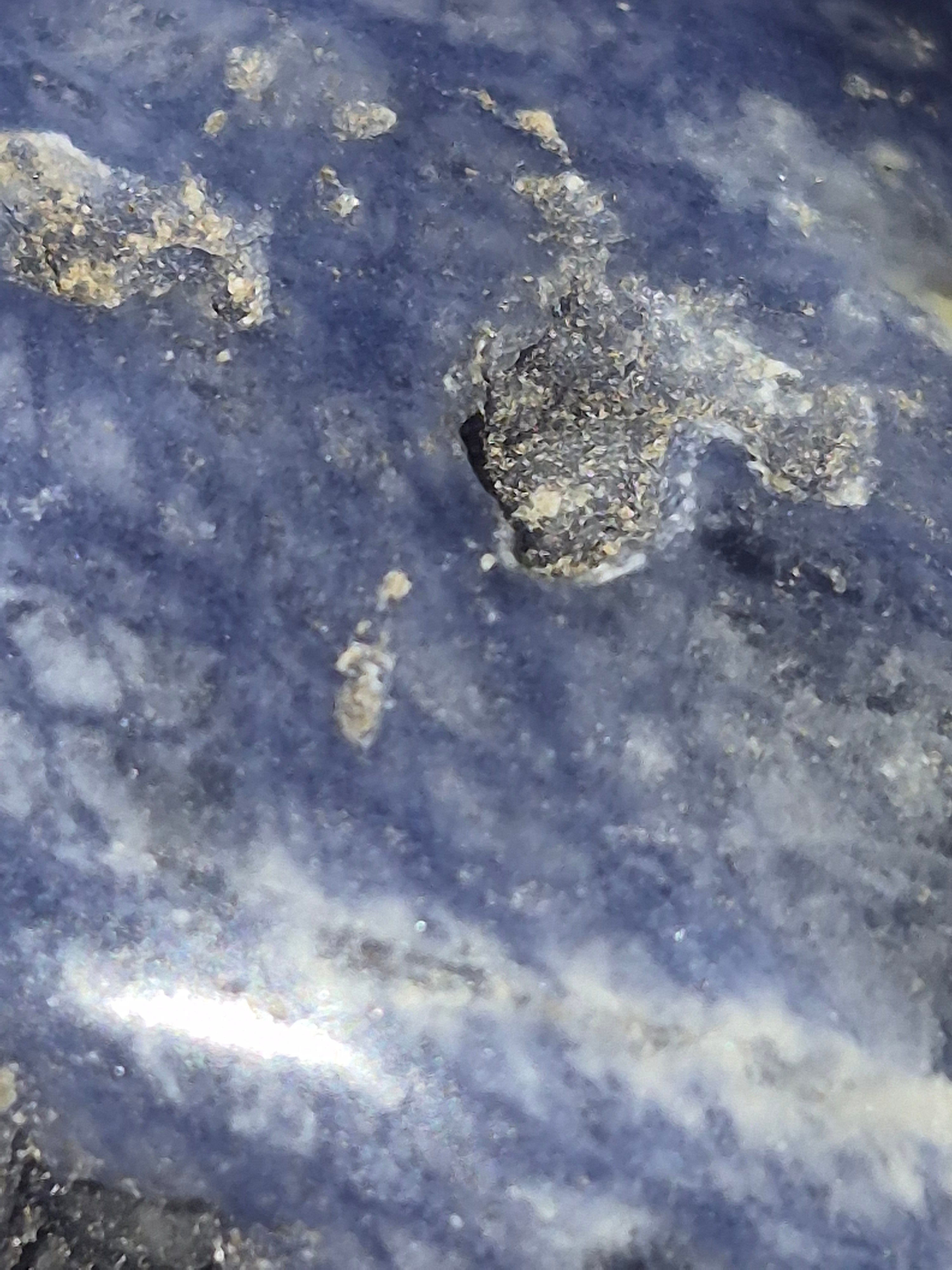 Sodalite Deep Intuition Skull 💀💙