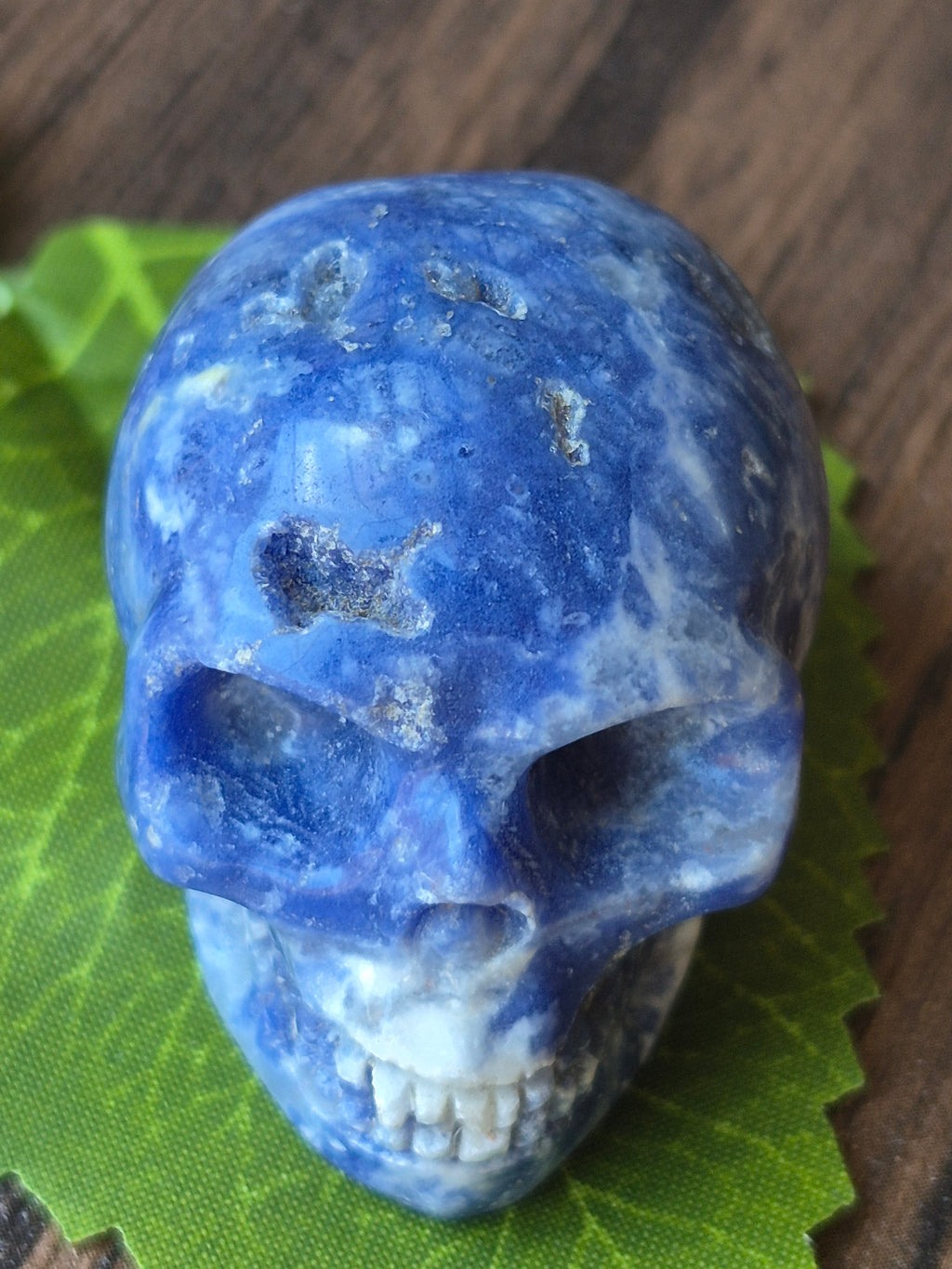 Sodalite Deep Intuition Skull 💀💙