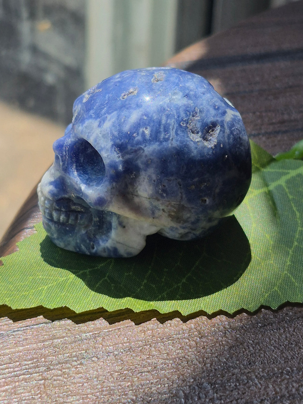Sodalite Deep Intuition Skull 💀💙