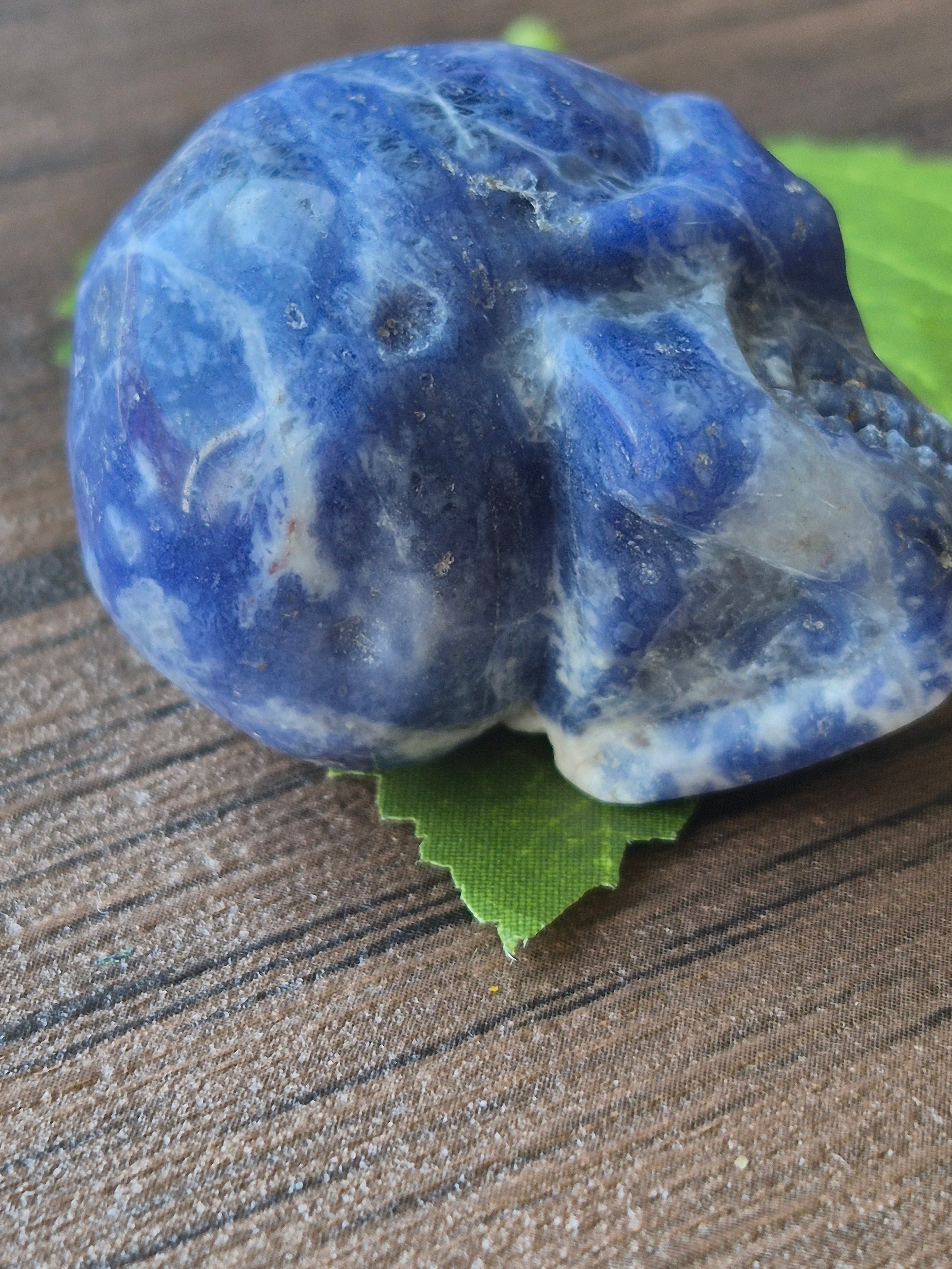 Sodalite Deep Intuition Skull 💀💙