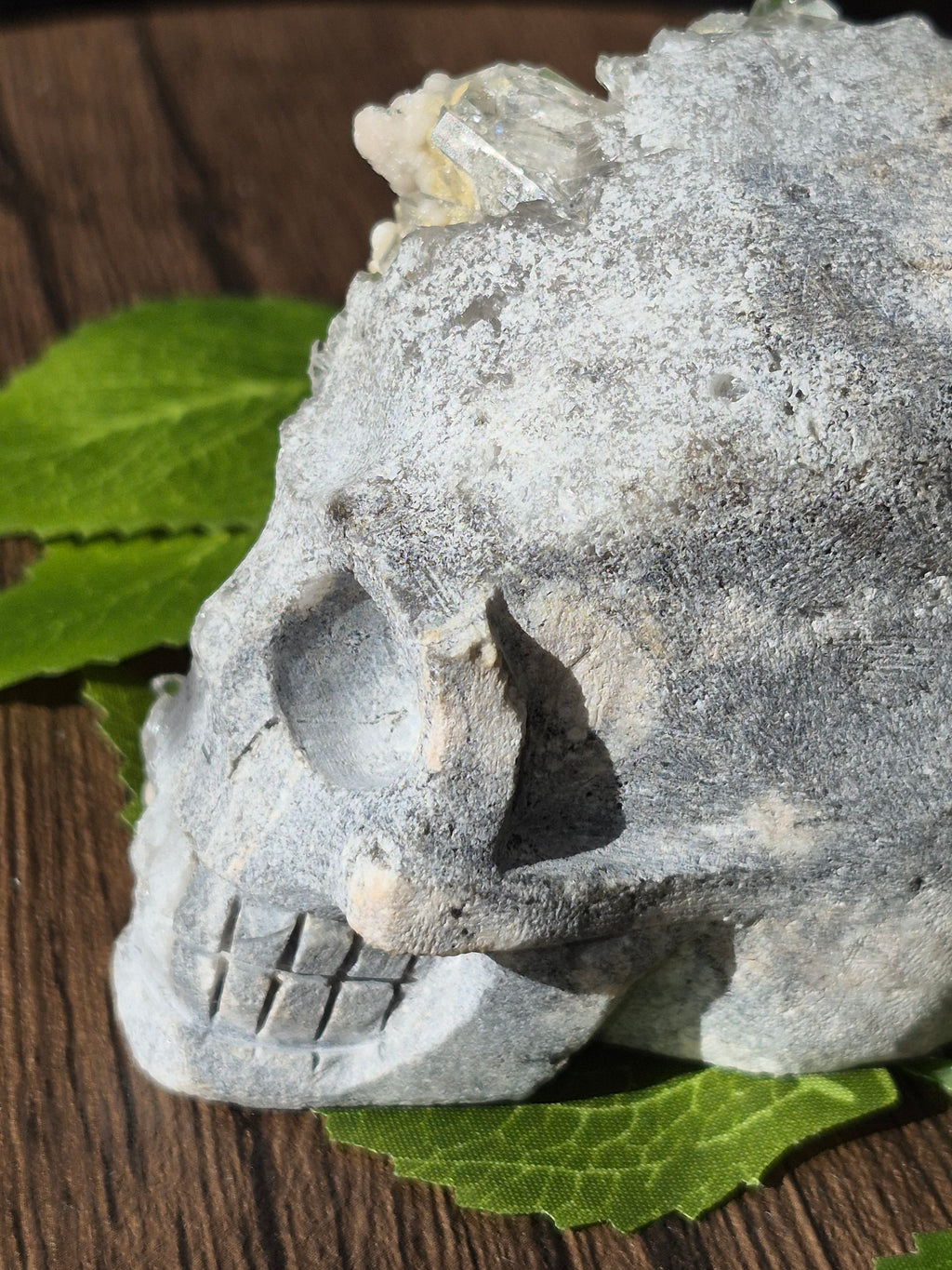 🤍 Frozen Quartz Cluster Skull ⭐