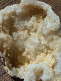 🤍White Quartz Geode- Half ✨Specimen No. 003