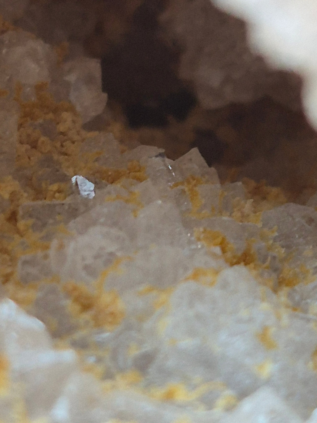 🤍 White Quartz Geode- Whole ✨ Specimen No. 011