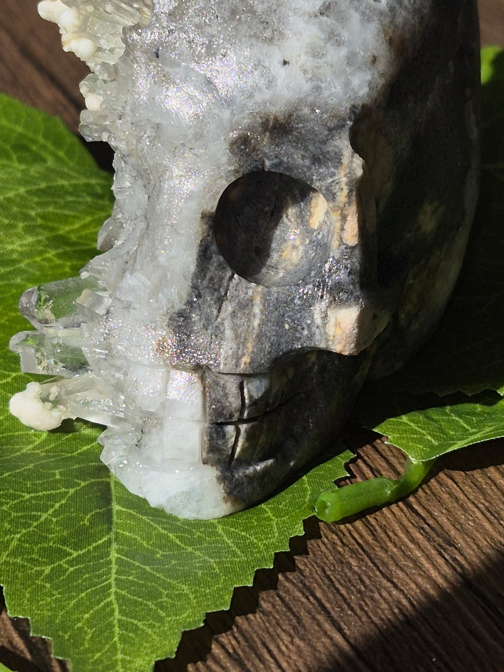 🤍 Frozen Quartz Cluster Skull ⭐