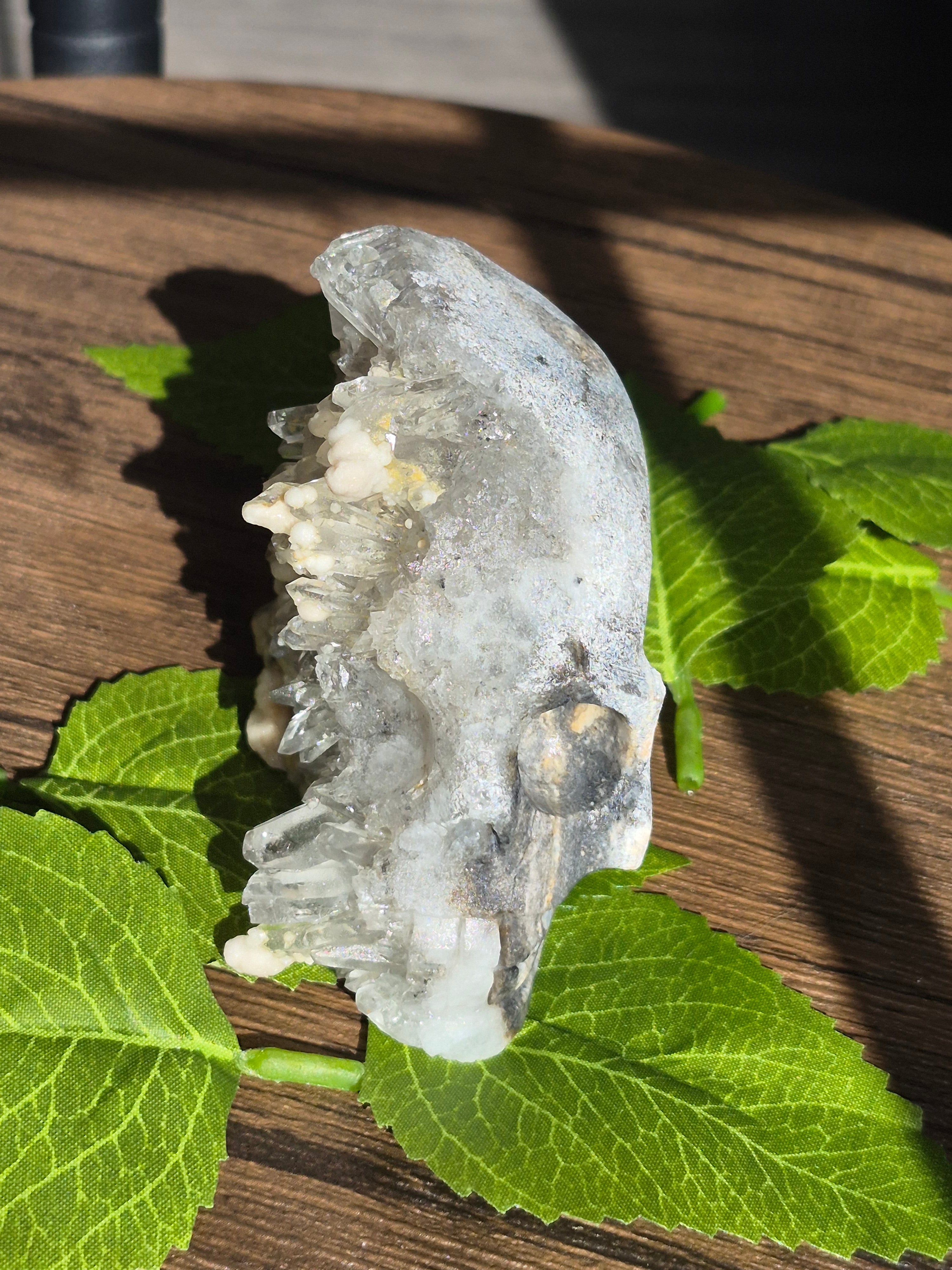 🤍 Frozen Quartz Cluster Skull ⭐