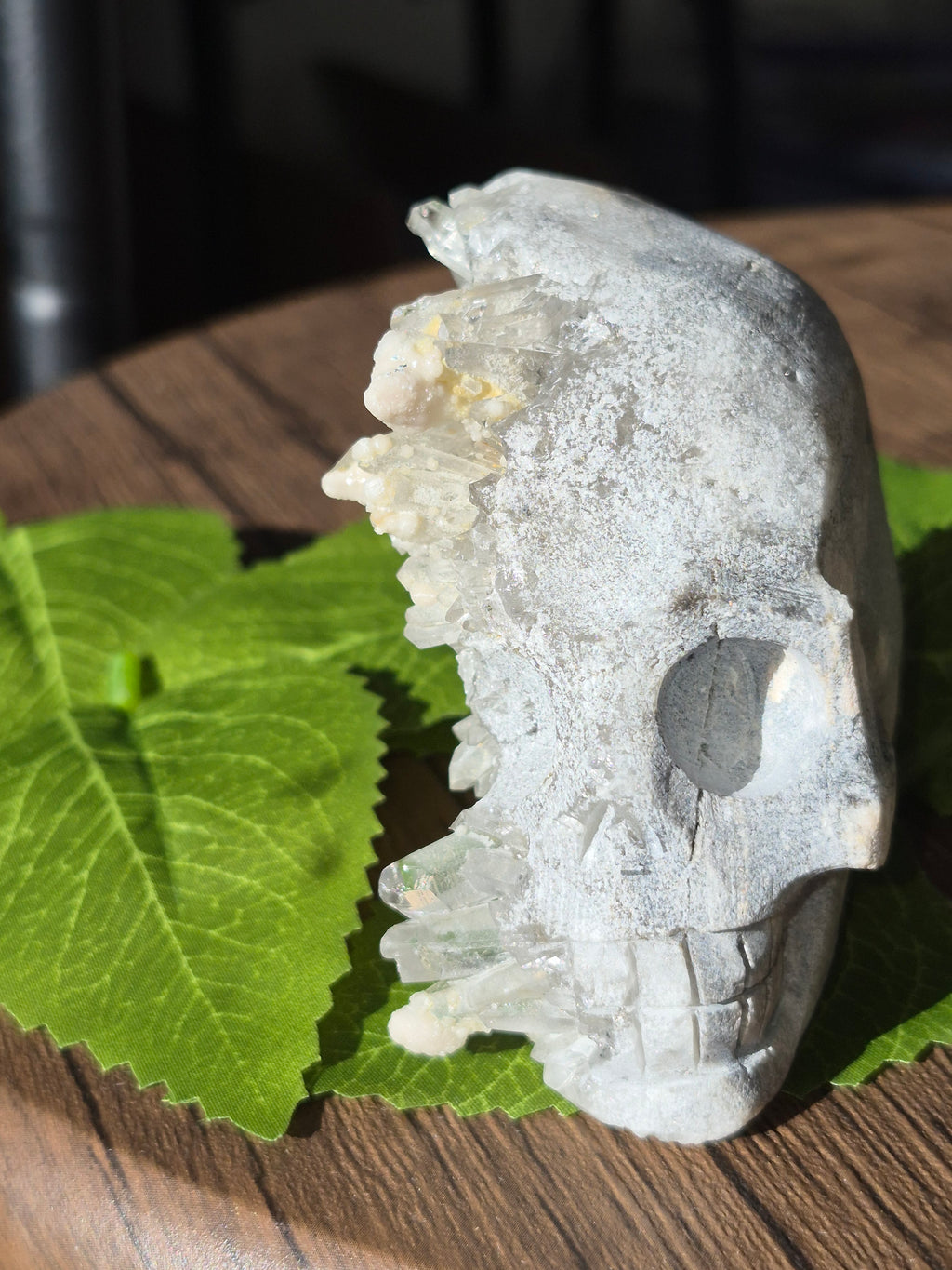 🤍 Frozen Quartz Cluster Skull ⭐