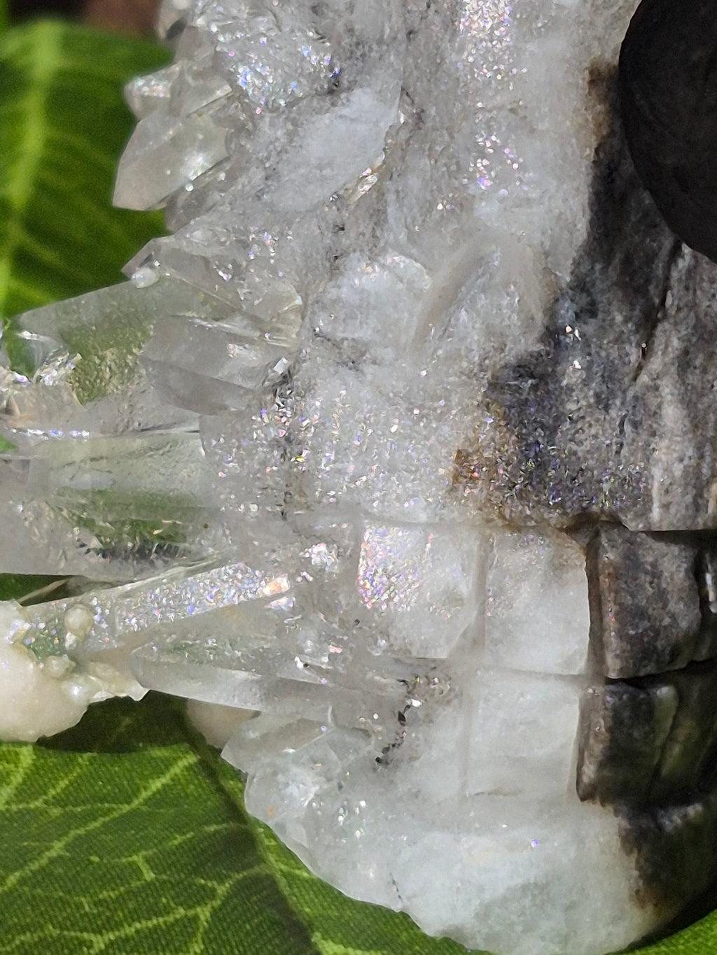 🤍 Frozen Quartz Cluster Skull ⭐