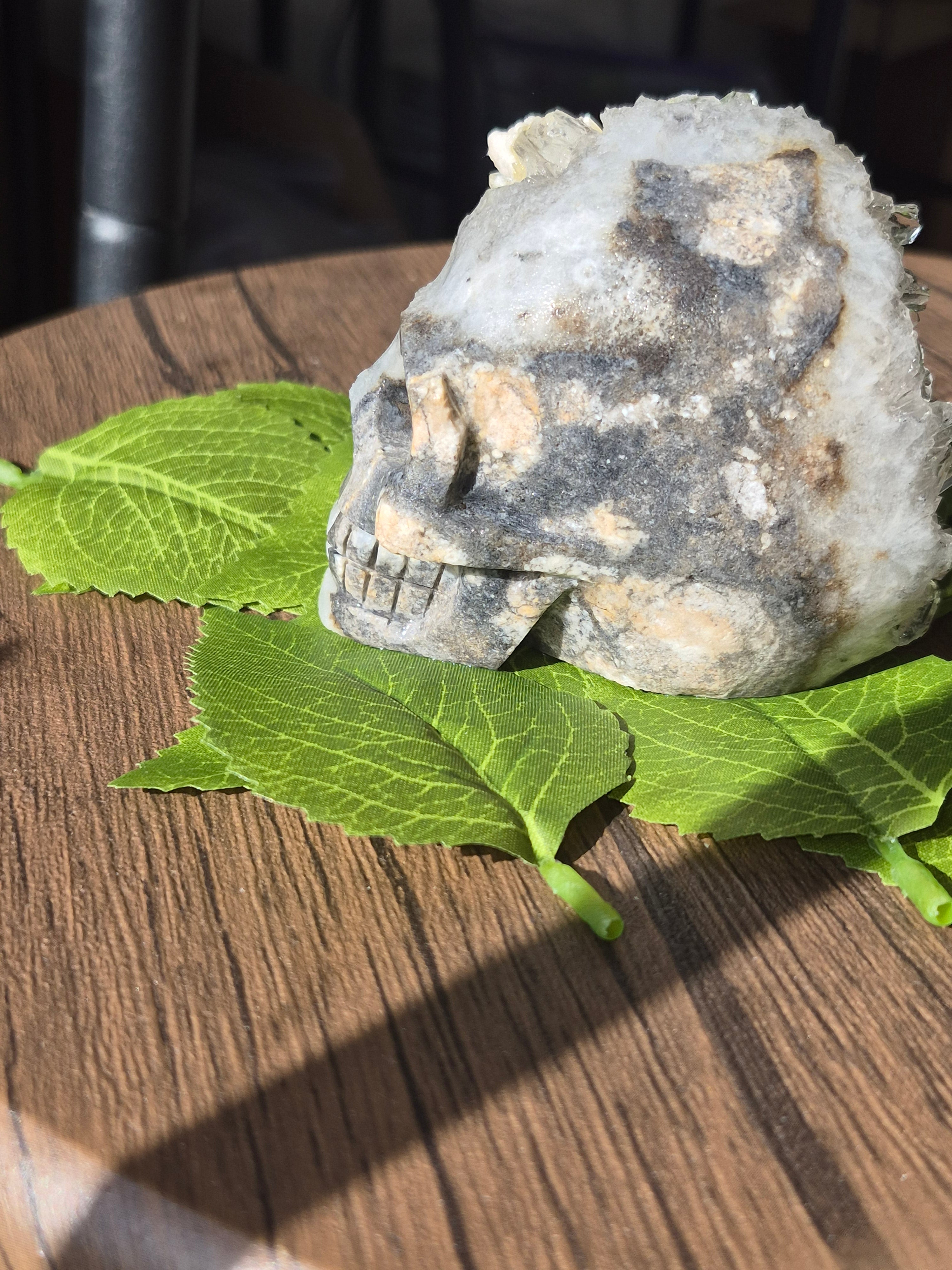 🤍 Frozen Quartz Cluster Skull ⭐