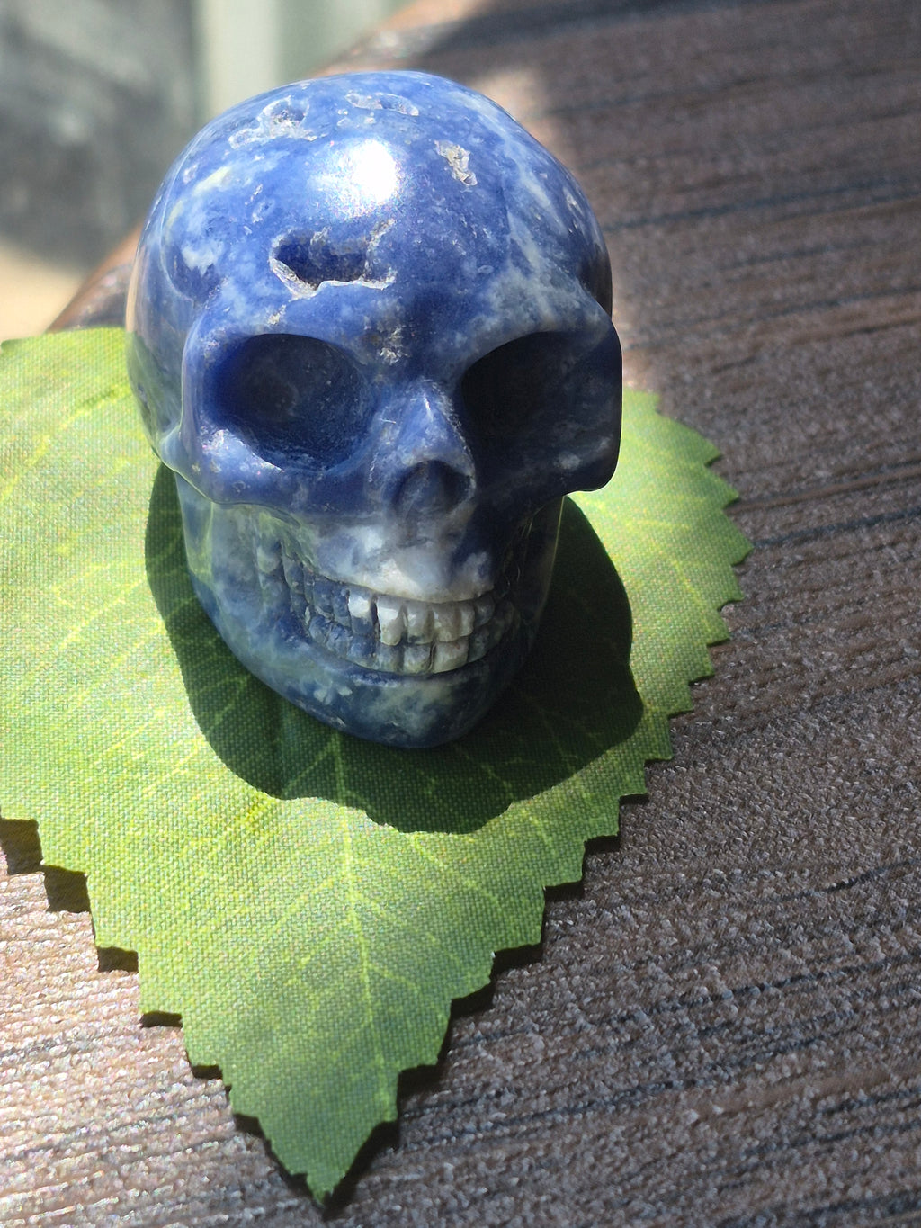 Sodalite Deep Intuition Skull 💀💙