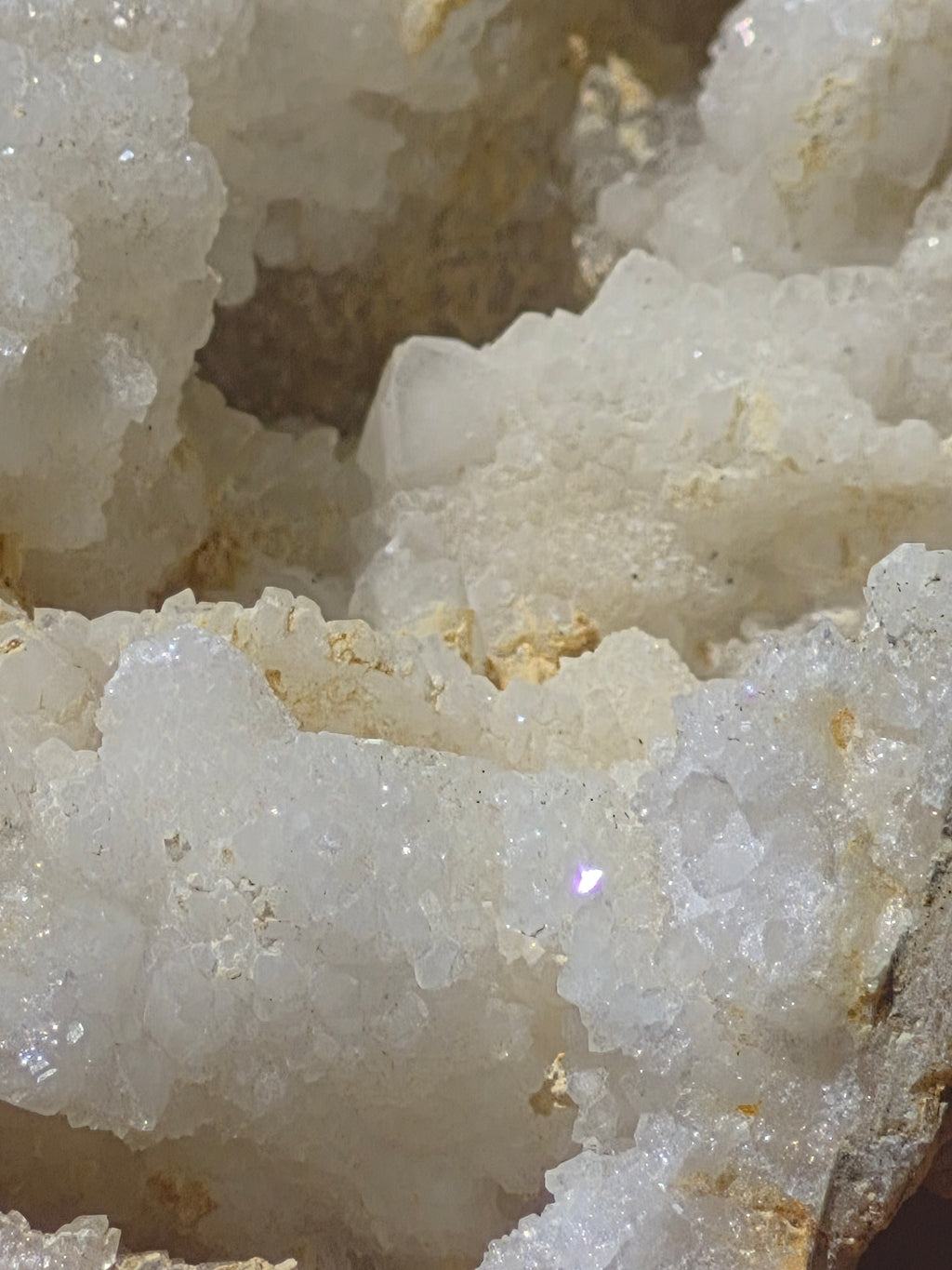 🤍White Quartz Geode- Whole ✨Specimen No. 005