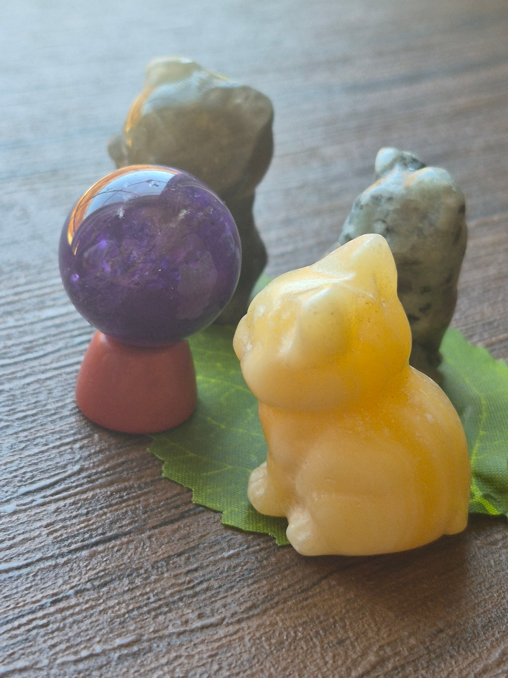 🐈 The Cat Council: Guardians of the Amethyst ✨