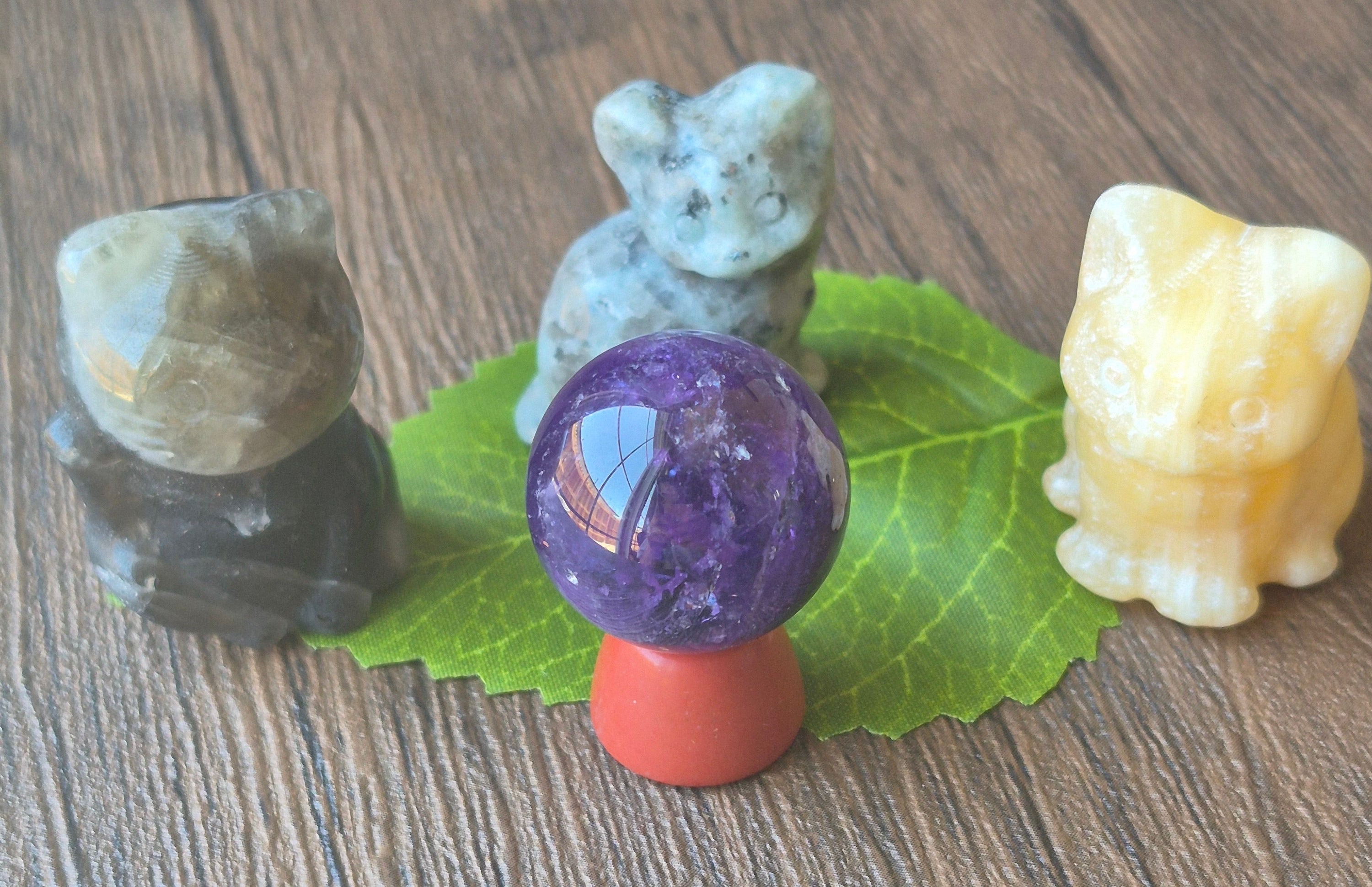 🐈 The Cat Council: Guardians of the Amethyst ✨