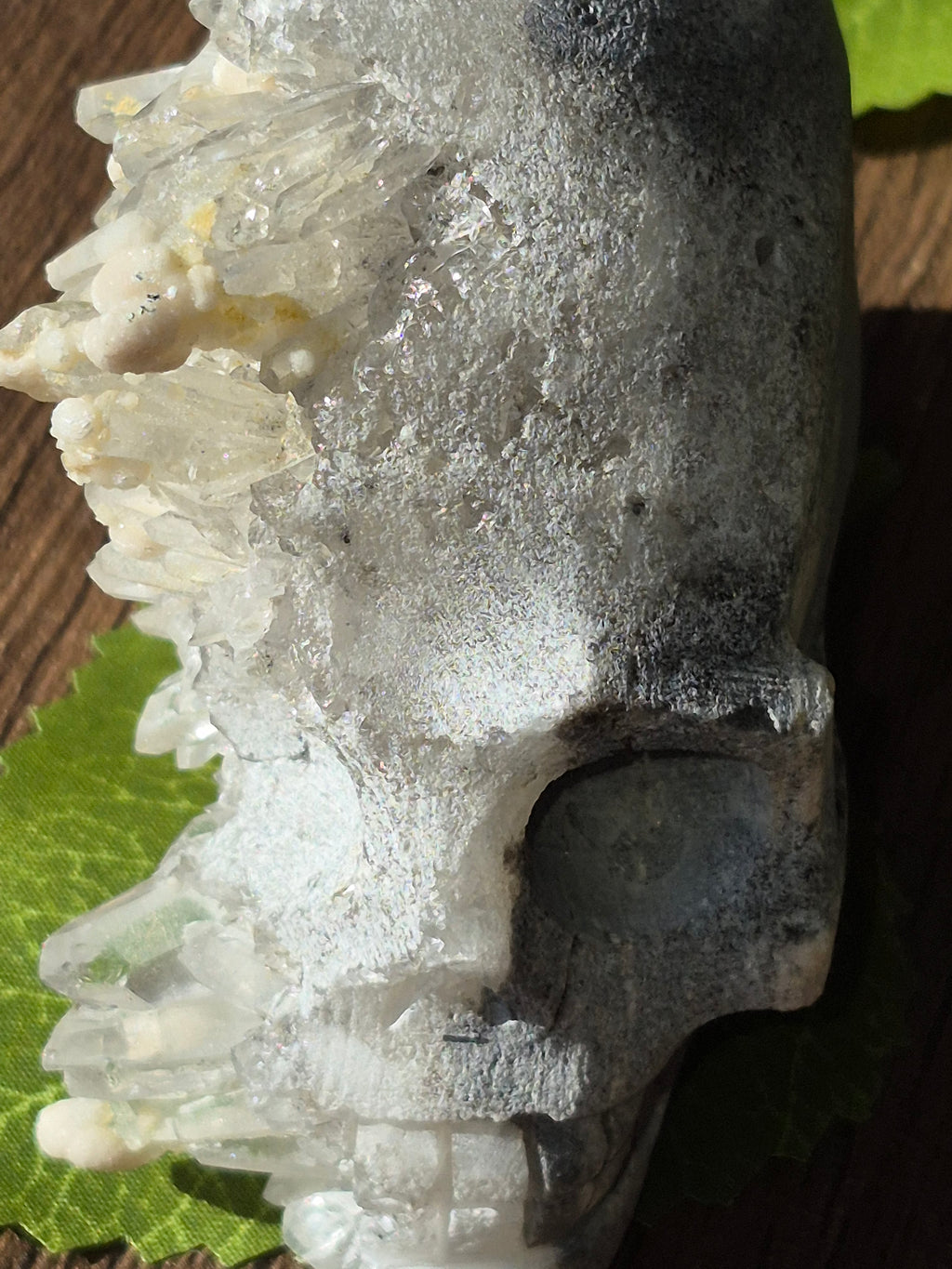 🤍 Frozen Quartz Cluster Skull ⭐