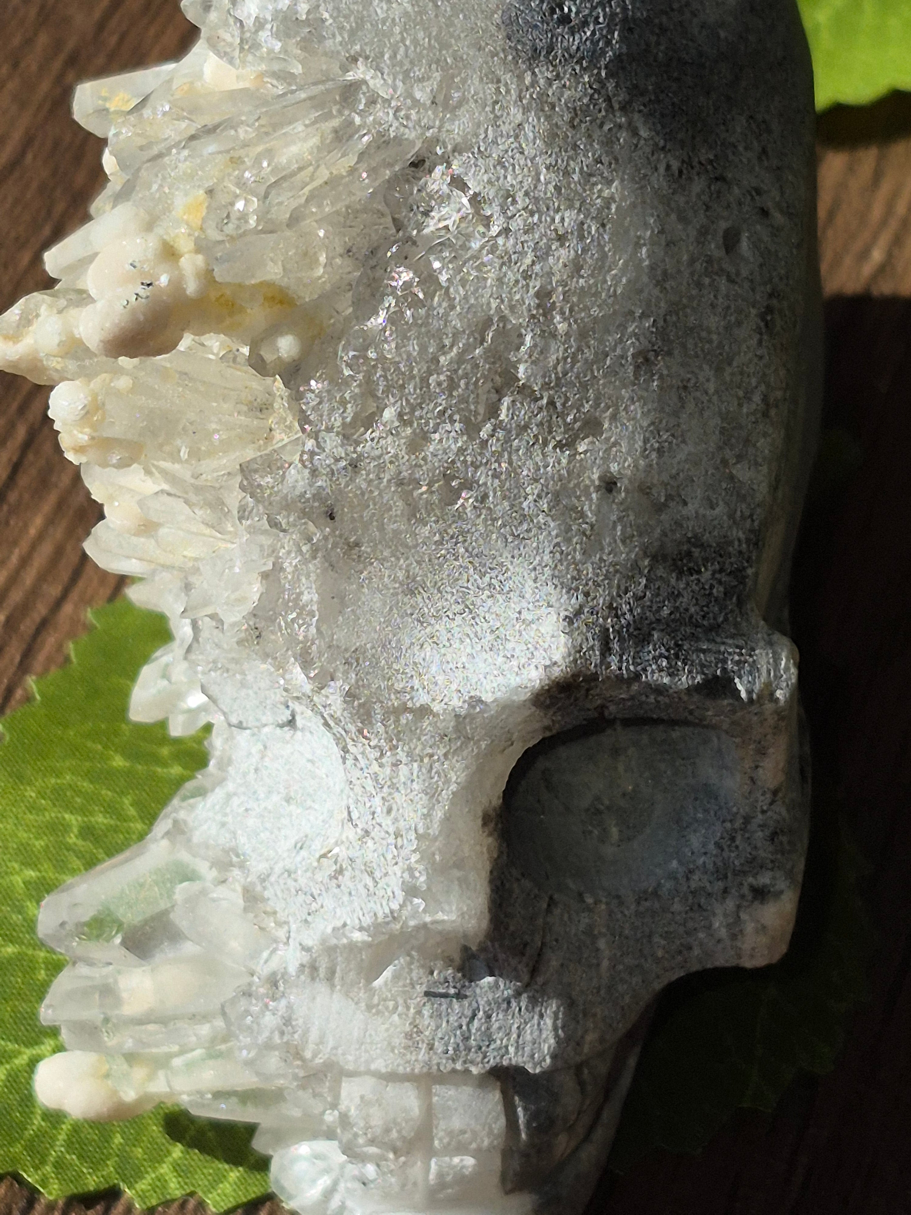 🤍 Frozen Quartz Cluster Skull ⭐