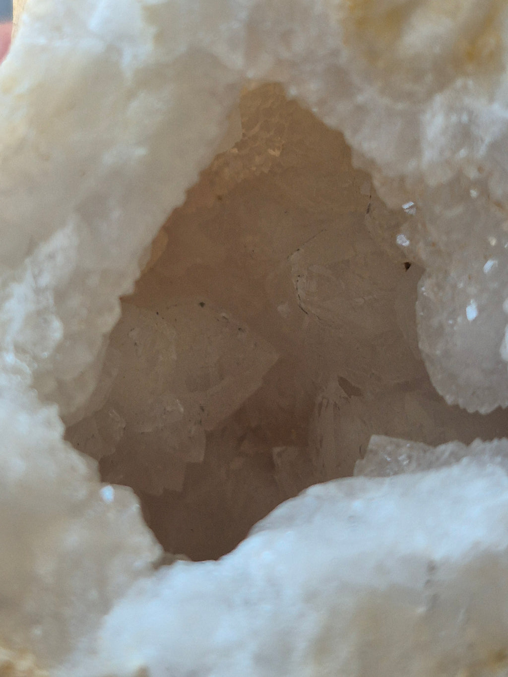 🤍 White Quartz Geode-Half ✨ Specimen No. 012