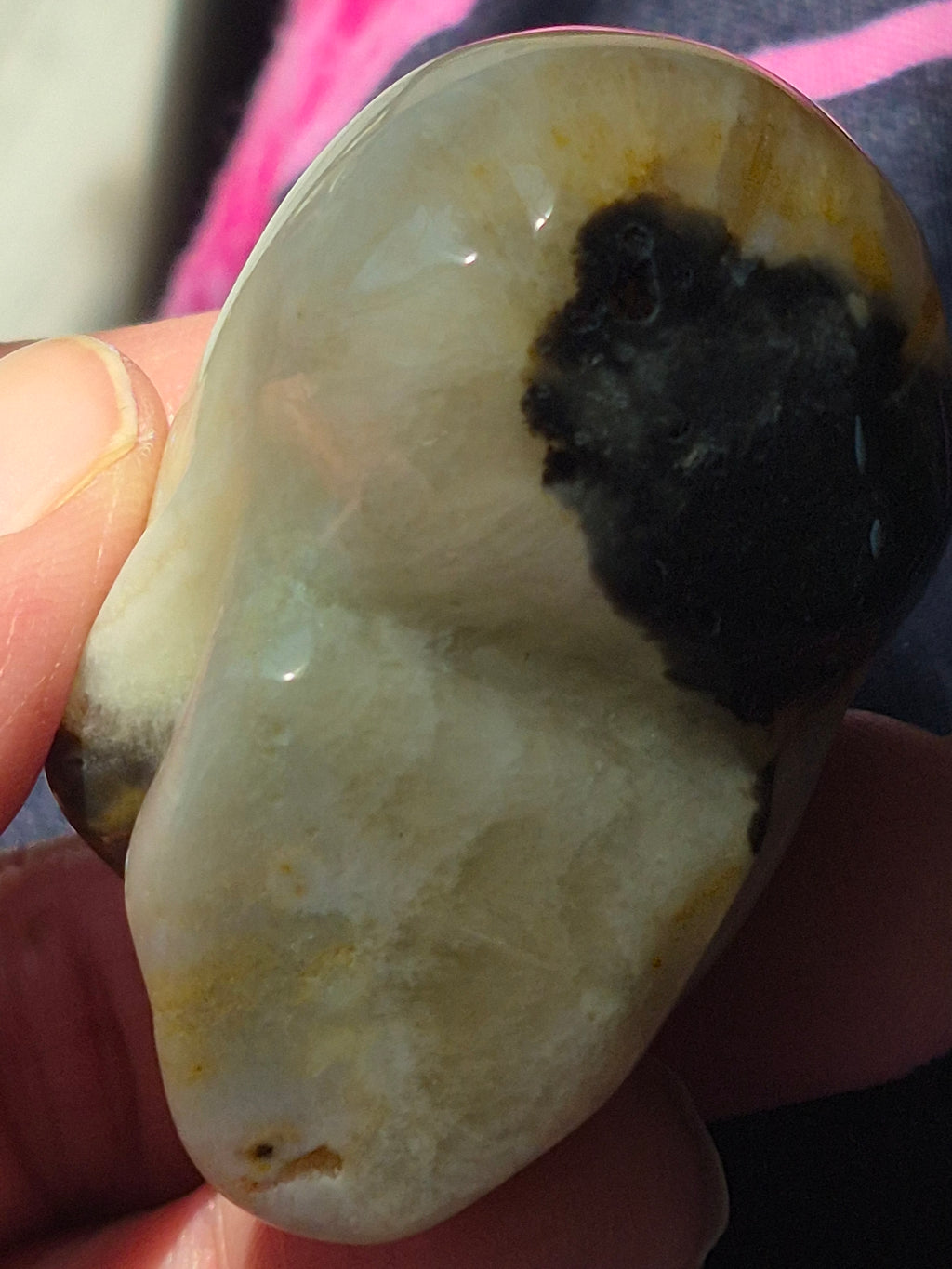 💀 Agate Skull with Natural Druzy Quartz Pocket