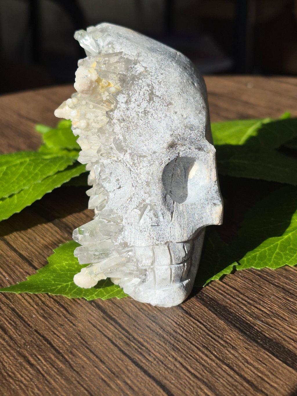🤍 Frozen Quartz Cluster Skull ⭐