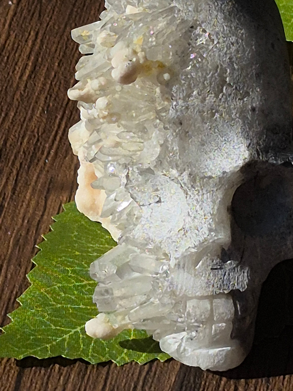 🤍 Frozen Quartz Cluster Skull ⭐