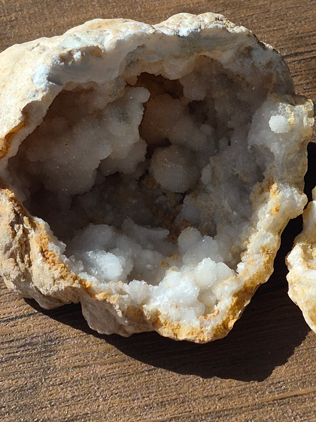 🤍White Quartz Geode- Whole ✨️ Specimen No.001