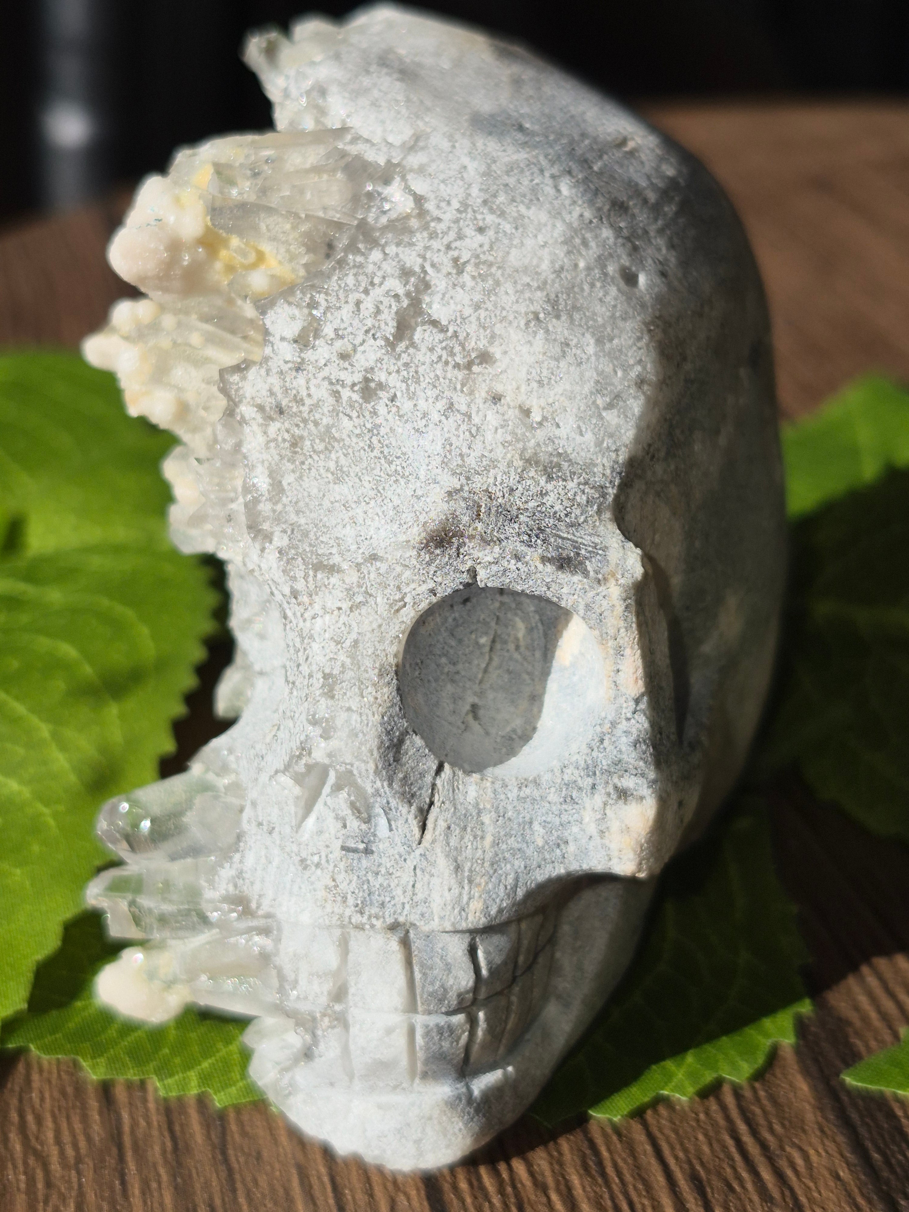 🤍 Frozen Quartz Cluster Skull ⭐
