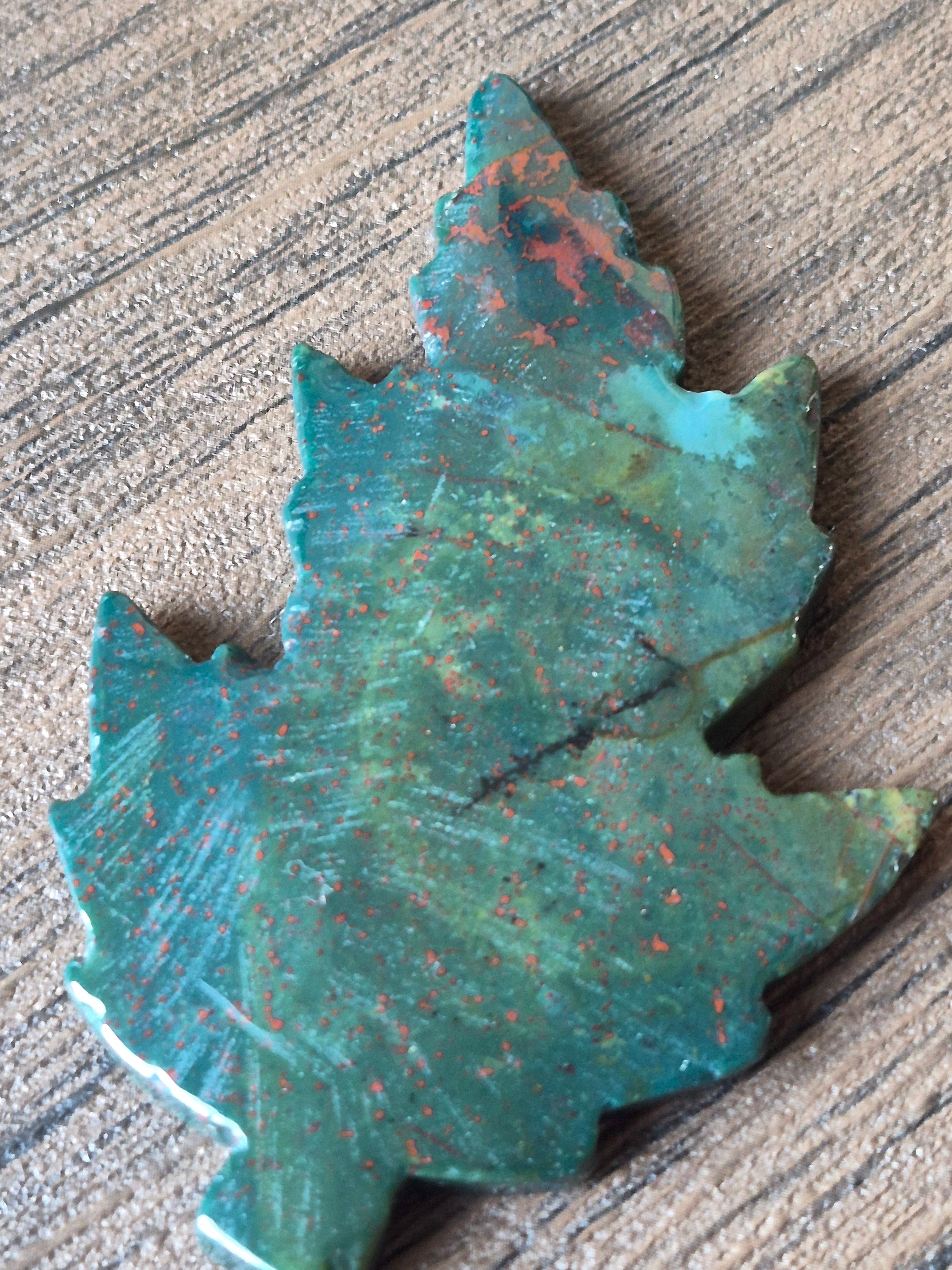 🌋 From Fire to Forest