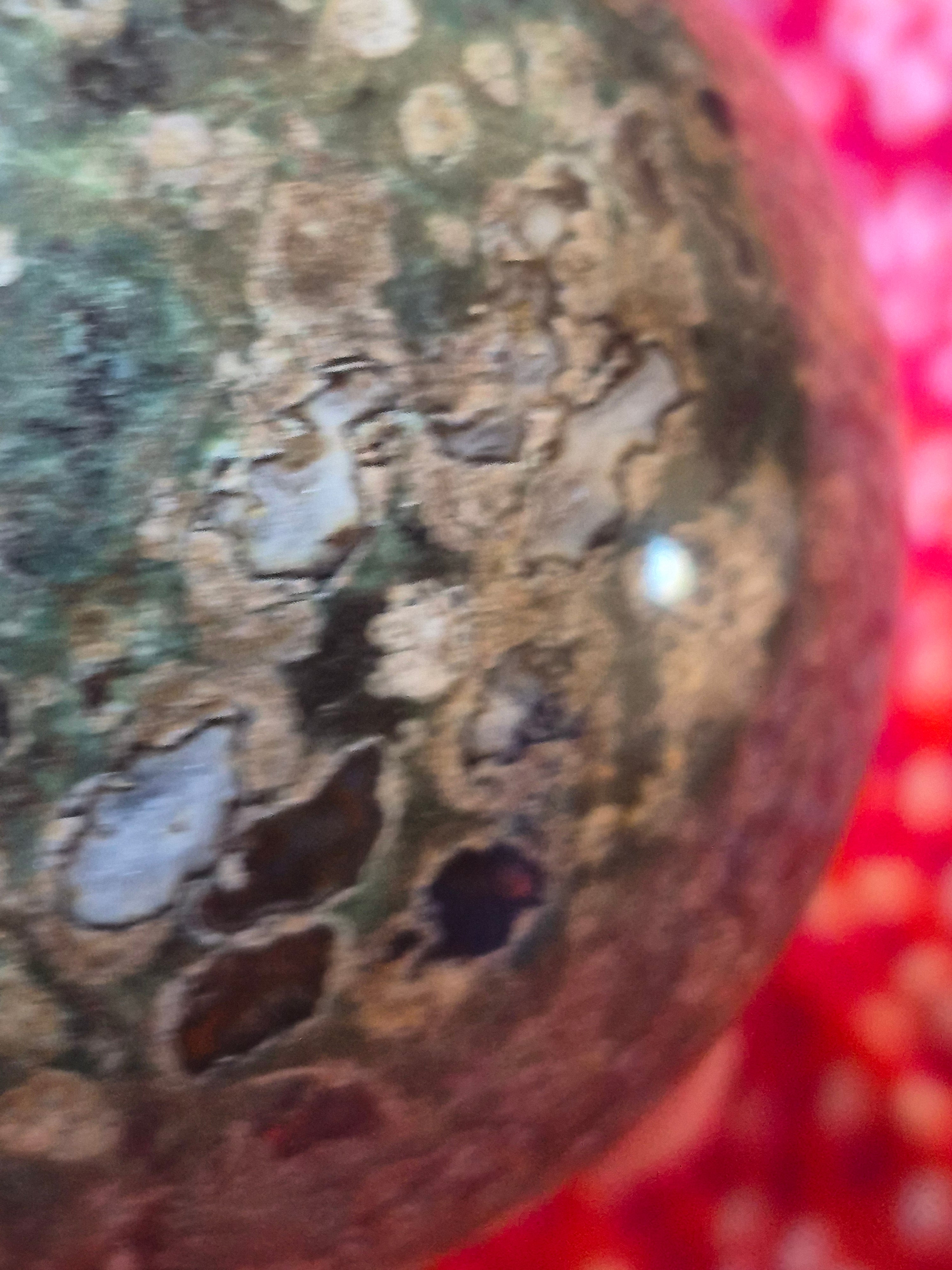 💚 Rainforest Jasper (Rhyolite) Sphere ⭐