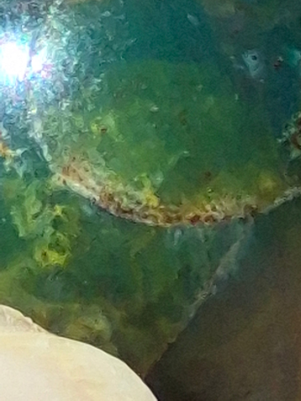 🌊✨️Mini Ocean Jasper  Sphere [23mm]