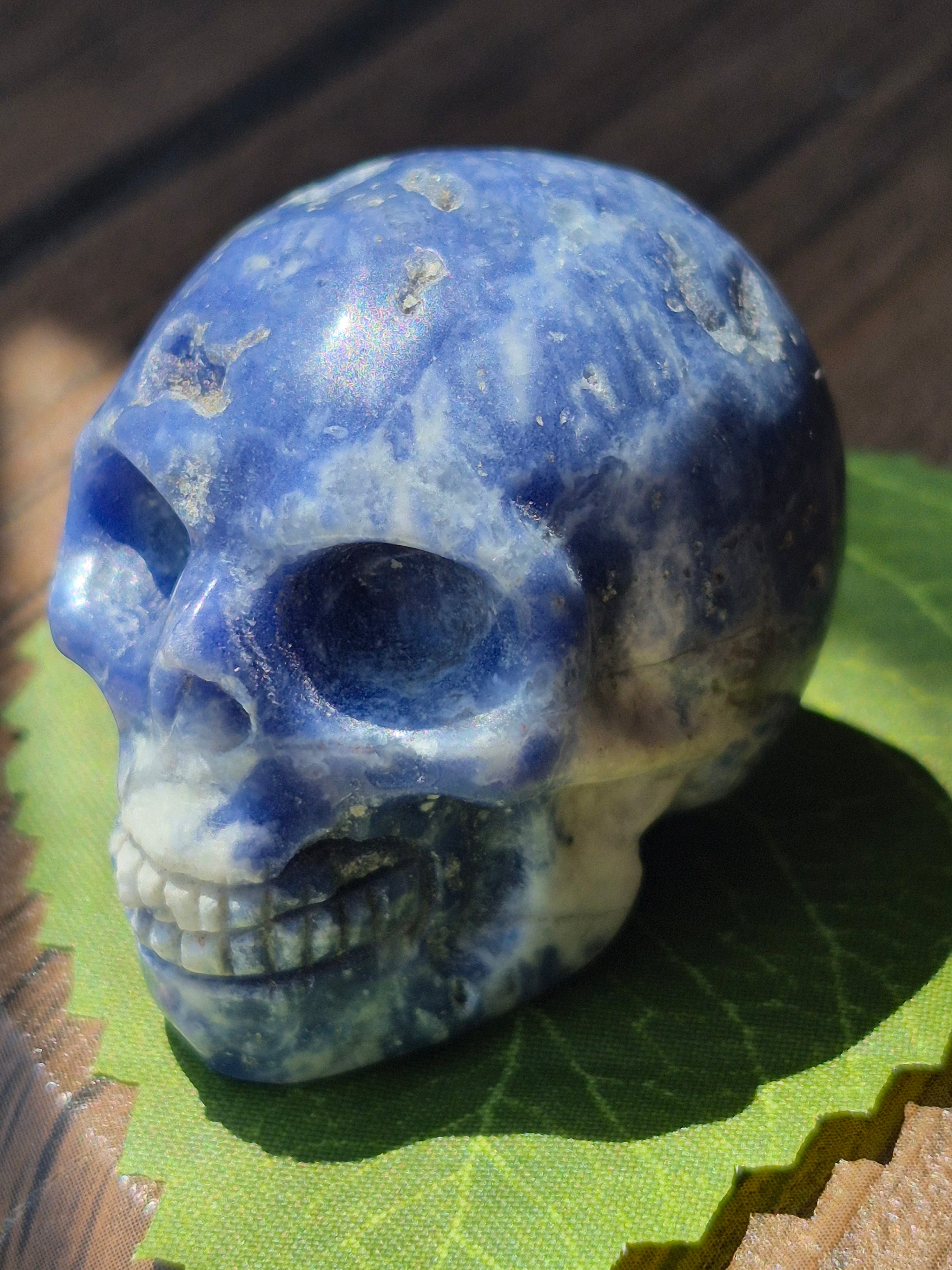 Sodalite Deep Intuition Skull 💀💙