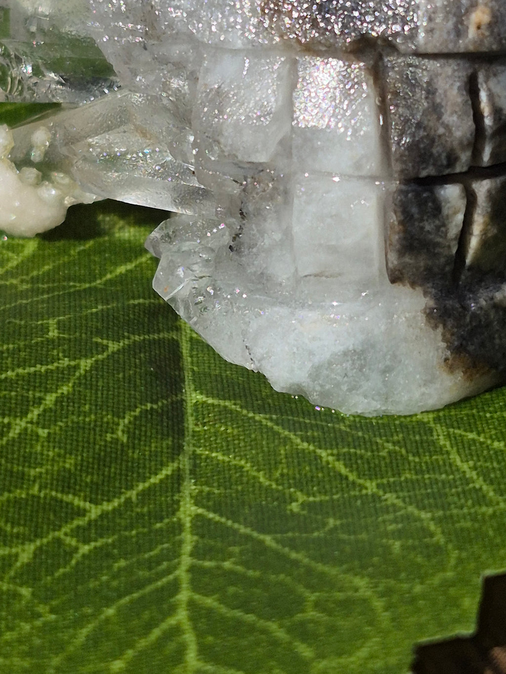 🤍 Frozen Quartz Cluster Skull ⭐