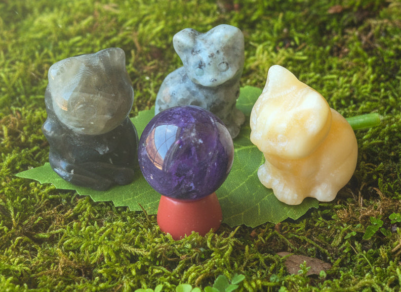 🐈 The Cat Council: Guardians of the Amethyst ✨